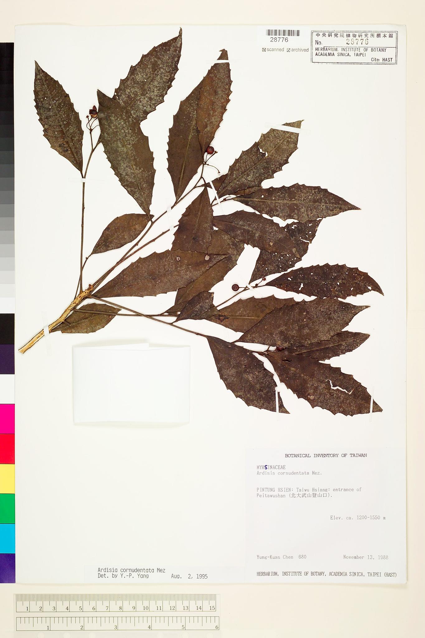 Sample image for viewer