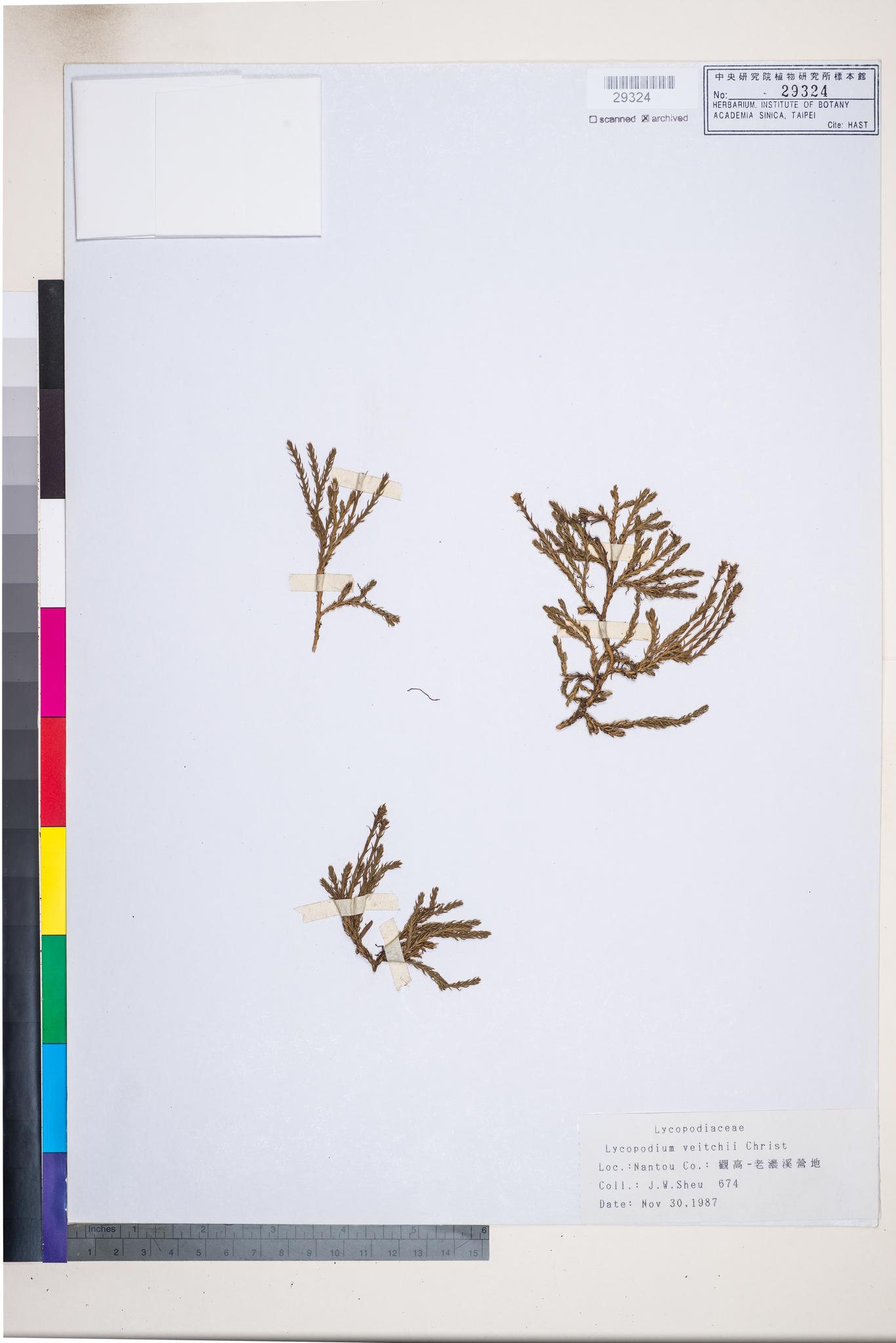 Sample image for viewer