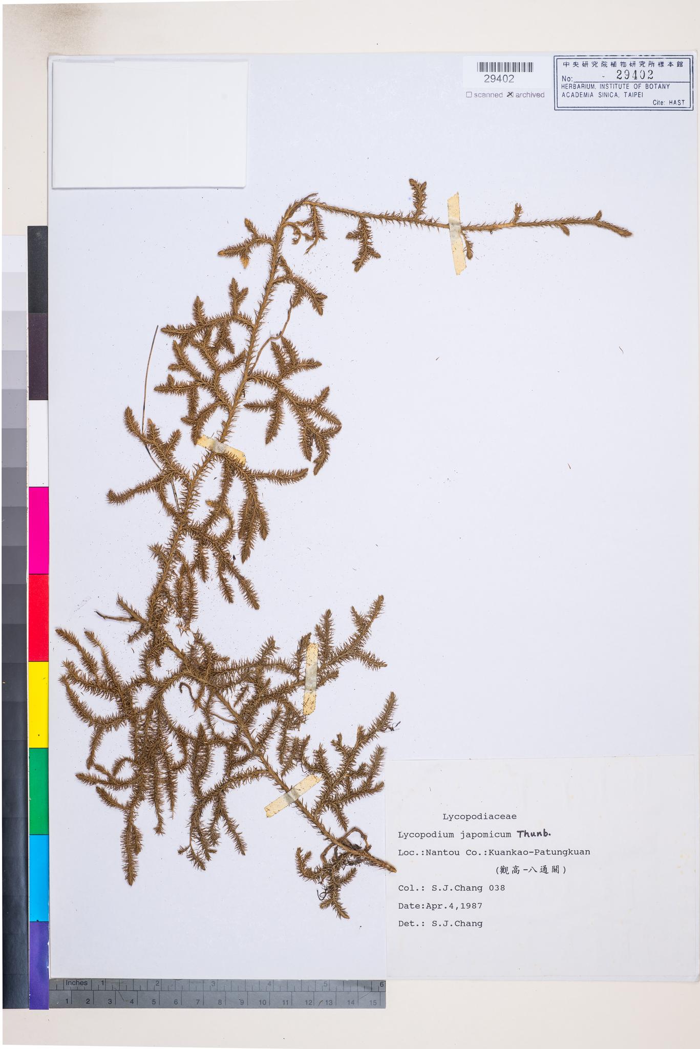 Specimen image