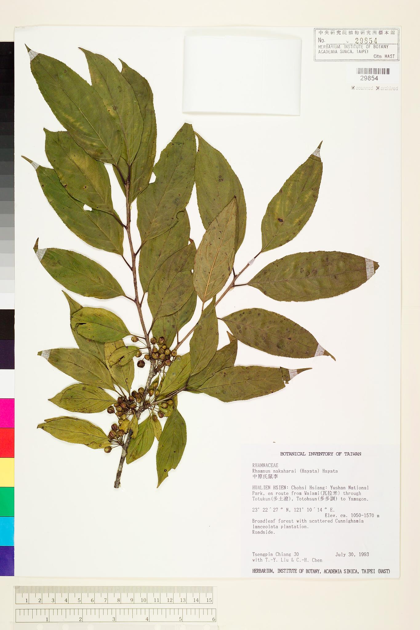 Sample image for viewer