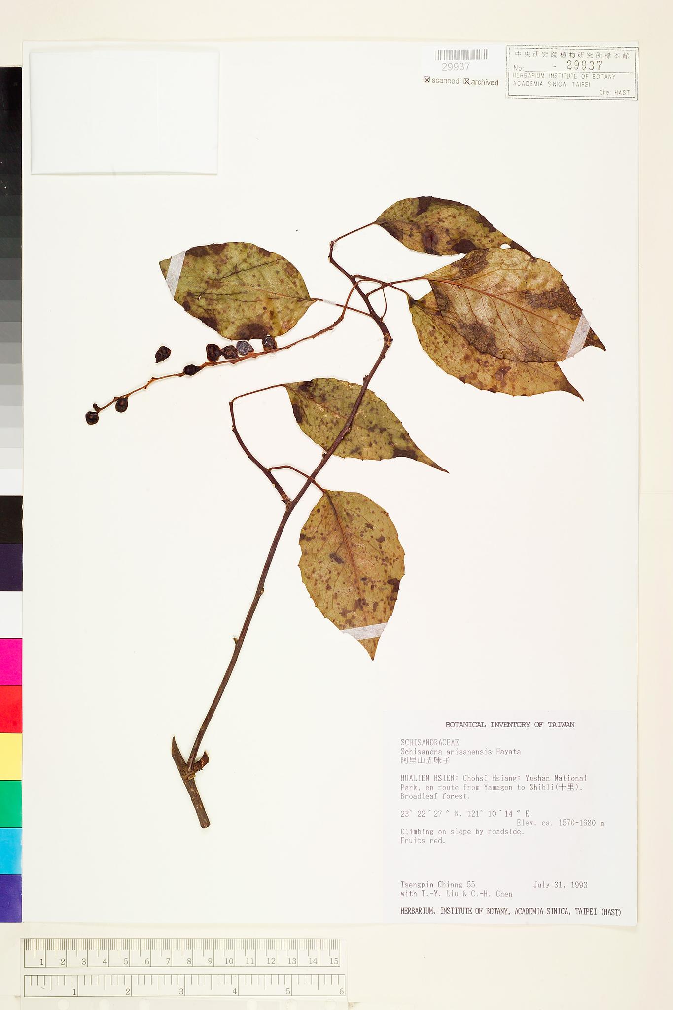 Specimen image