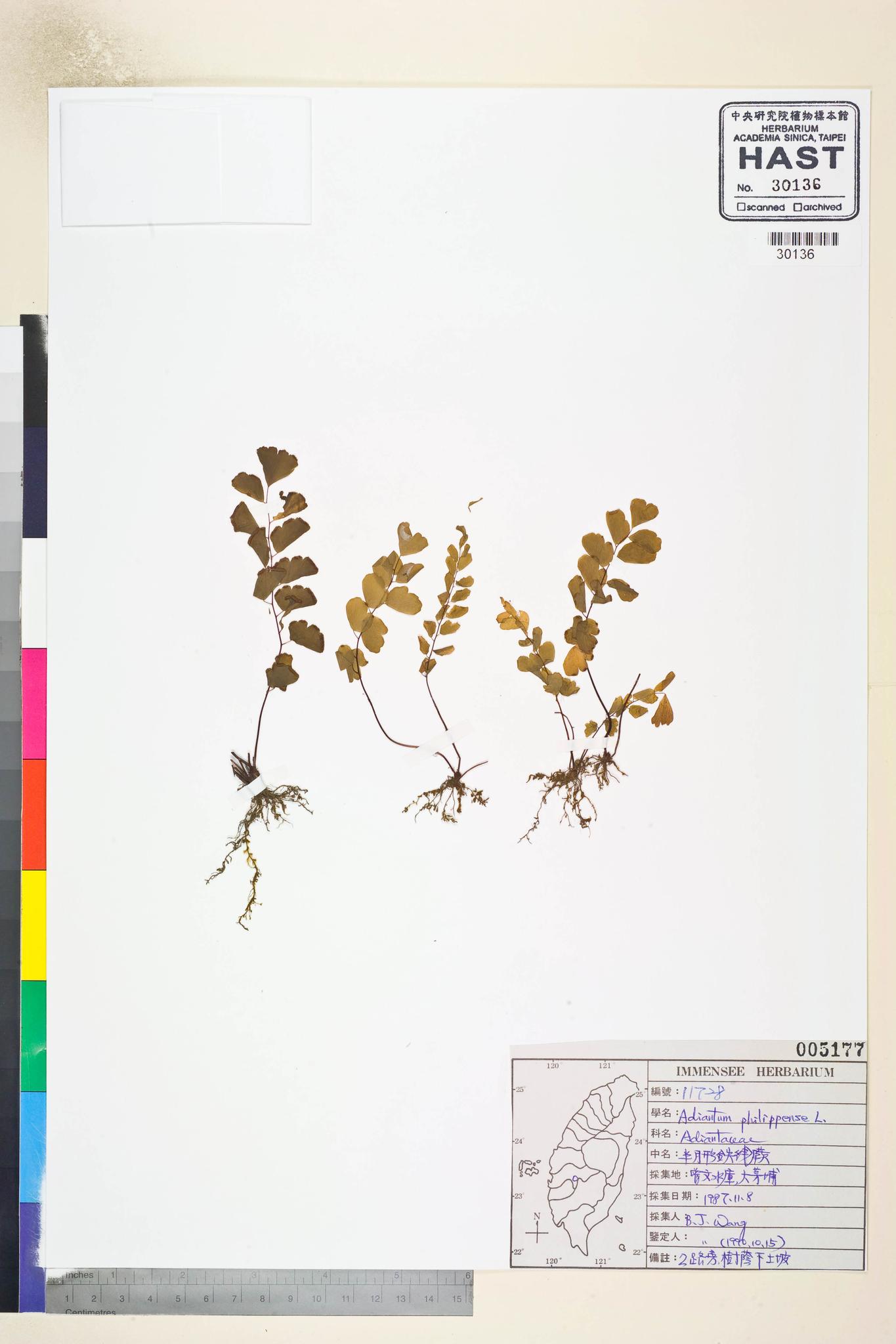 Sample image for viewer