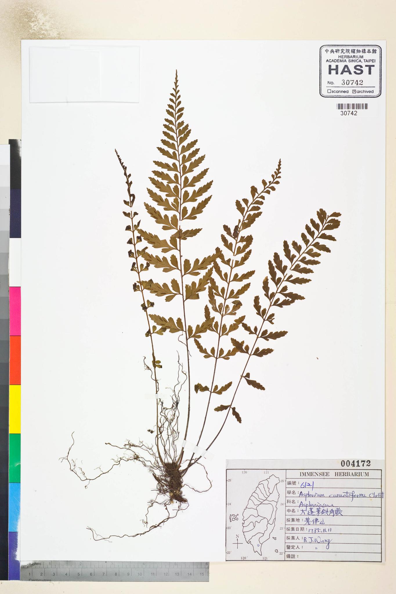 Sample image for viewer