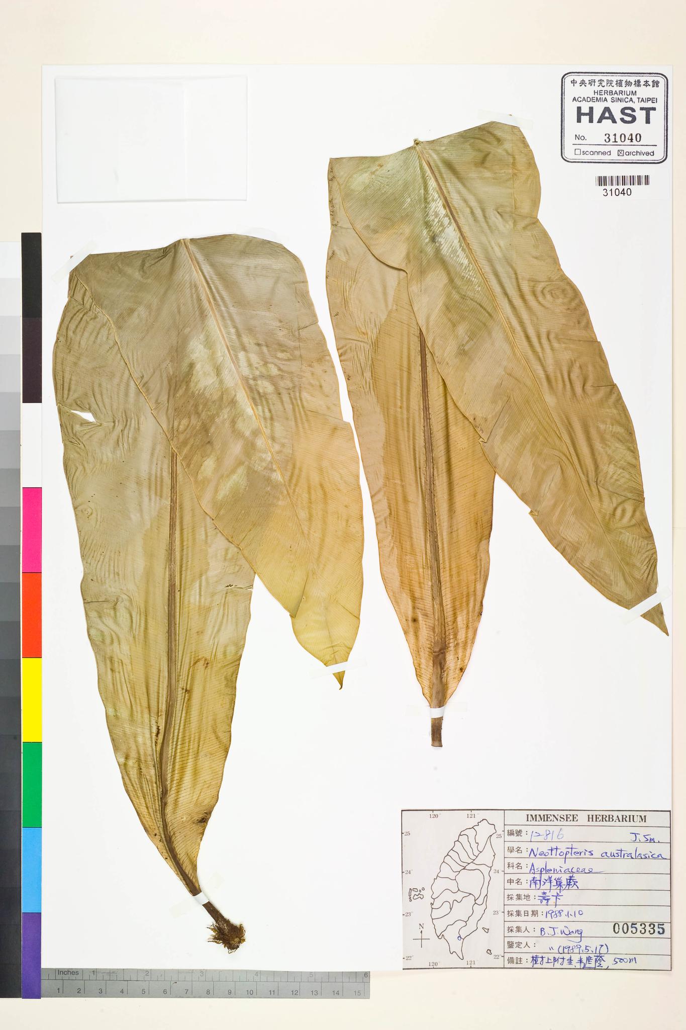 Sample image for viewer