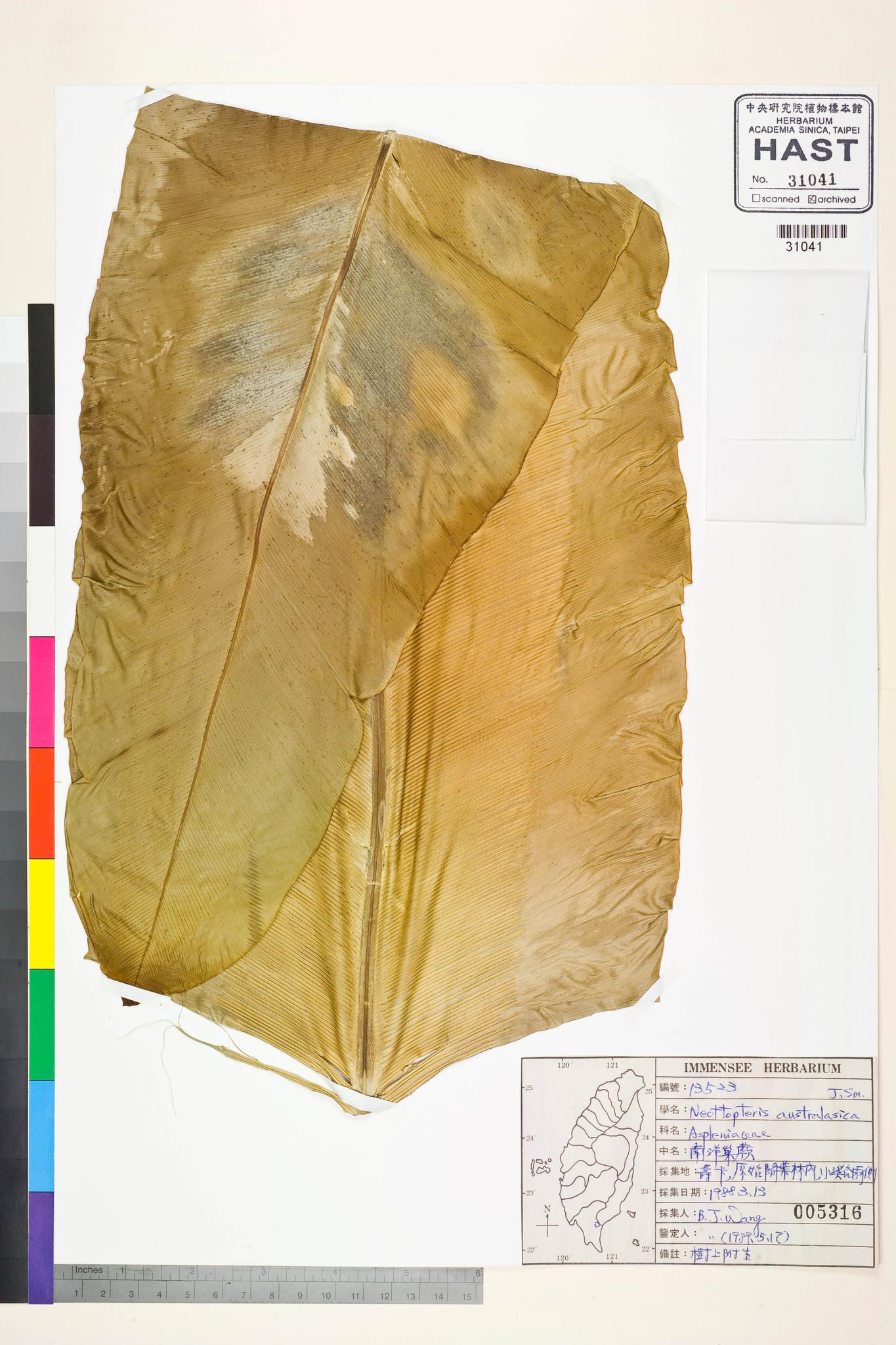 Sample image for viewer