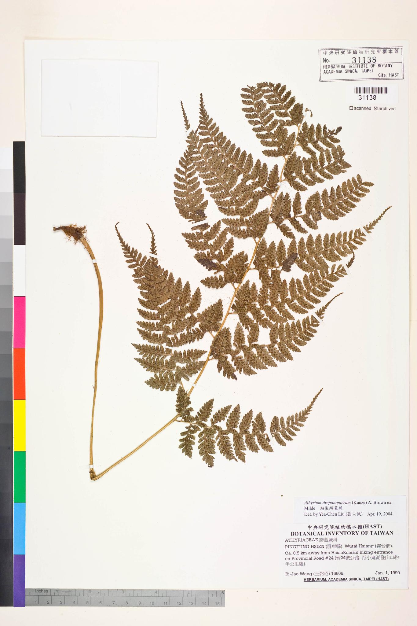 Sample image for viewer