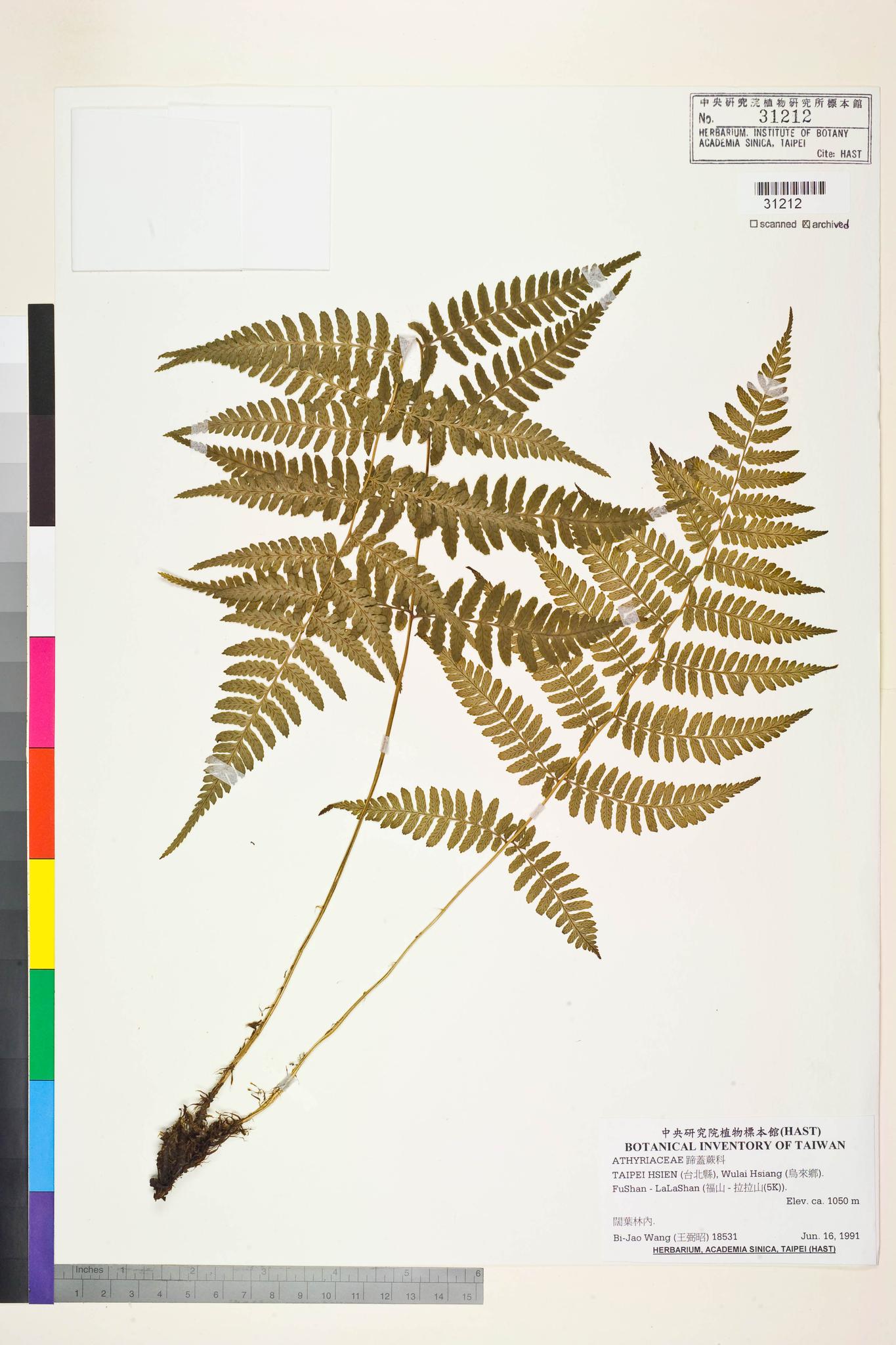 Specimen image