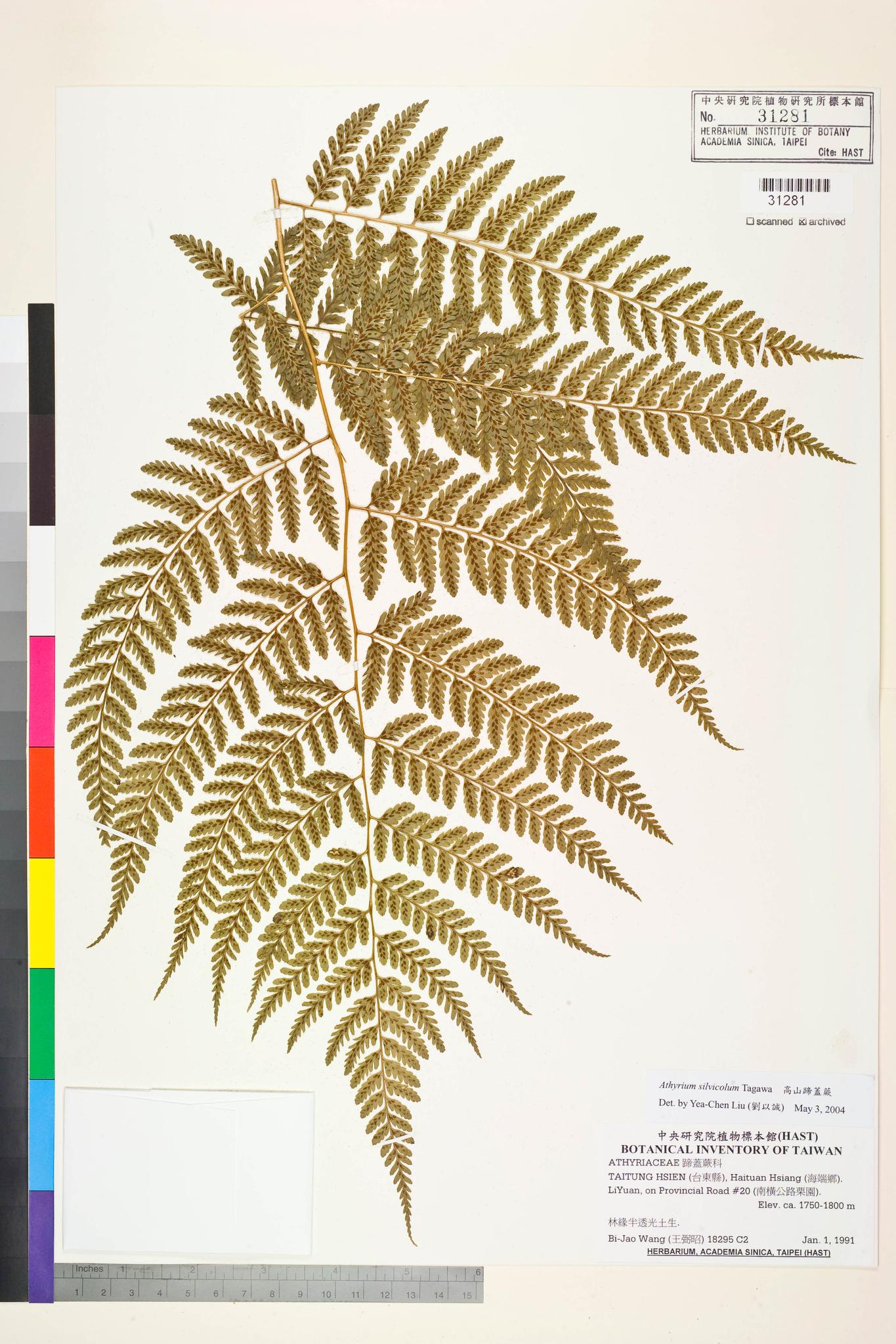 Sample image for viewer