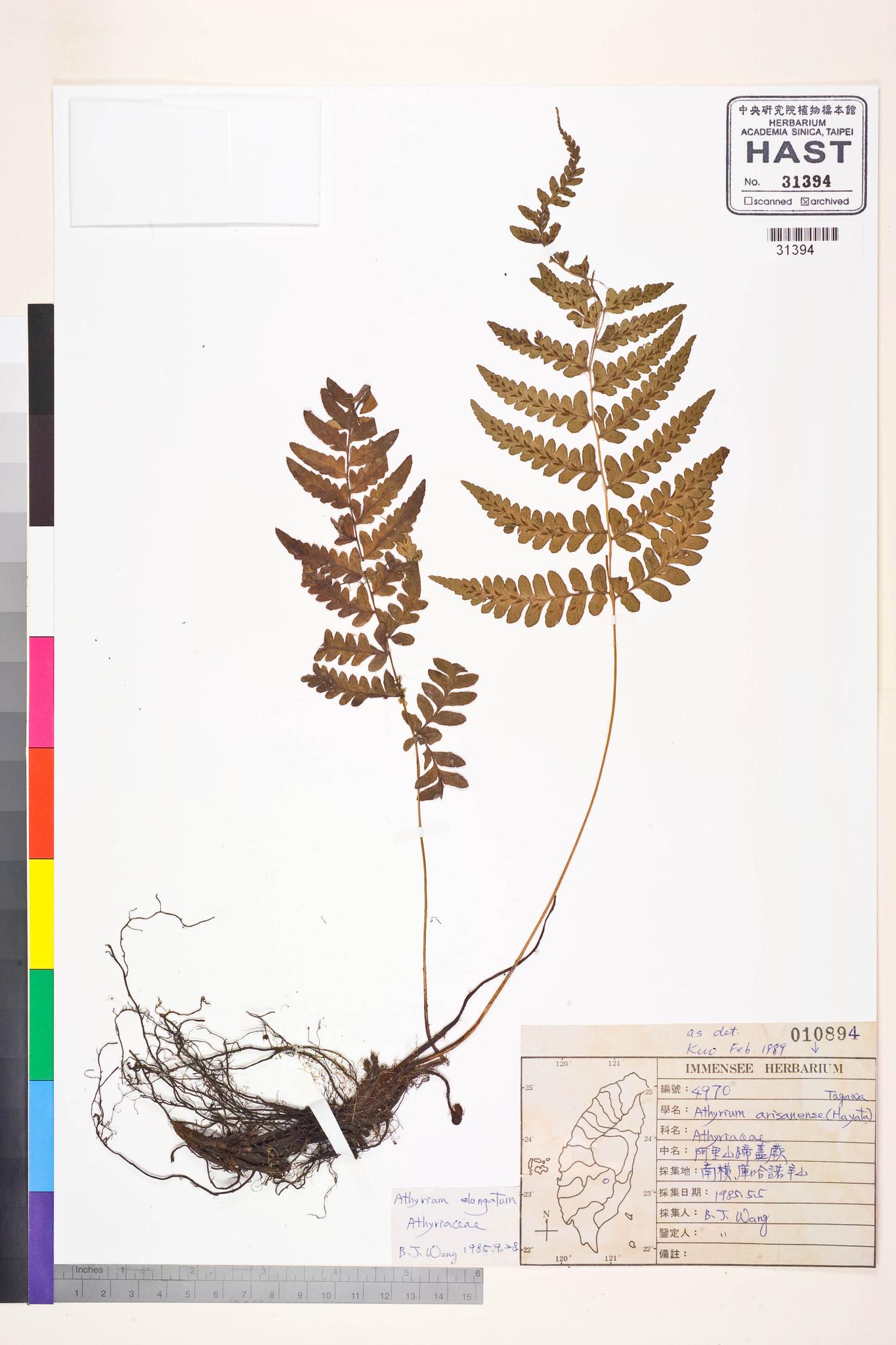 Sample image for viewer