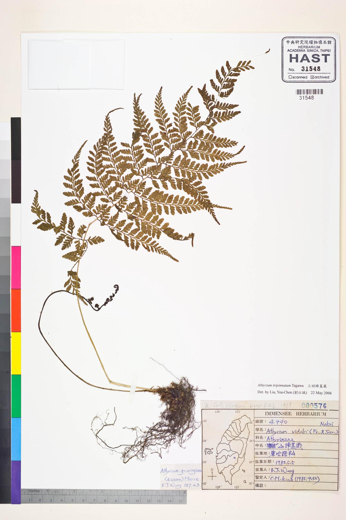 Sample image for viewer