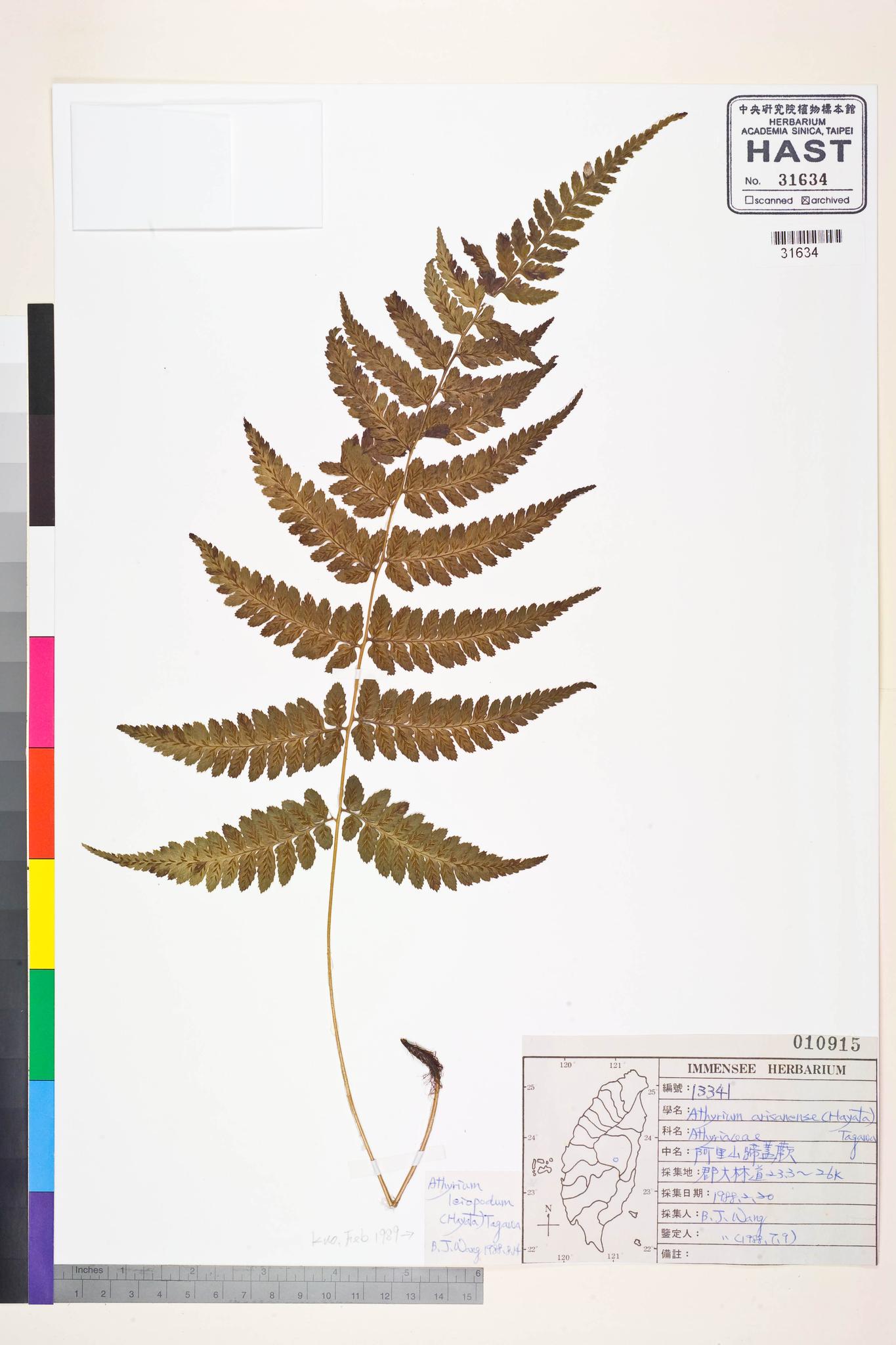 Sample image for viewer