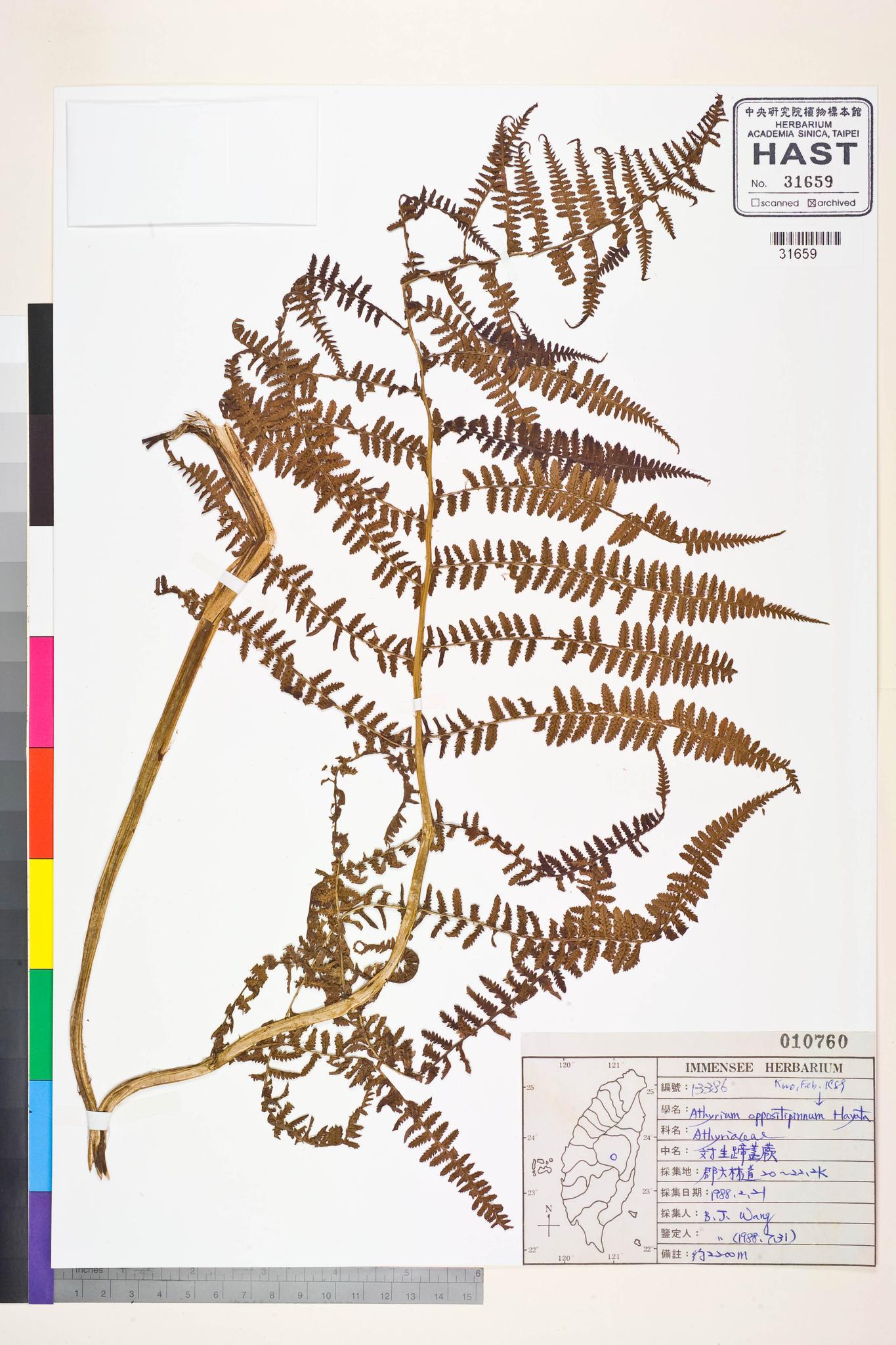 Sample image for viewer