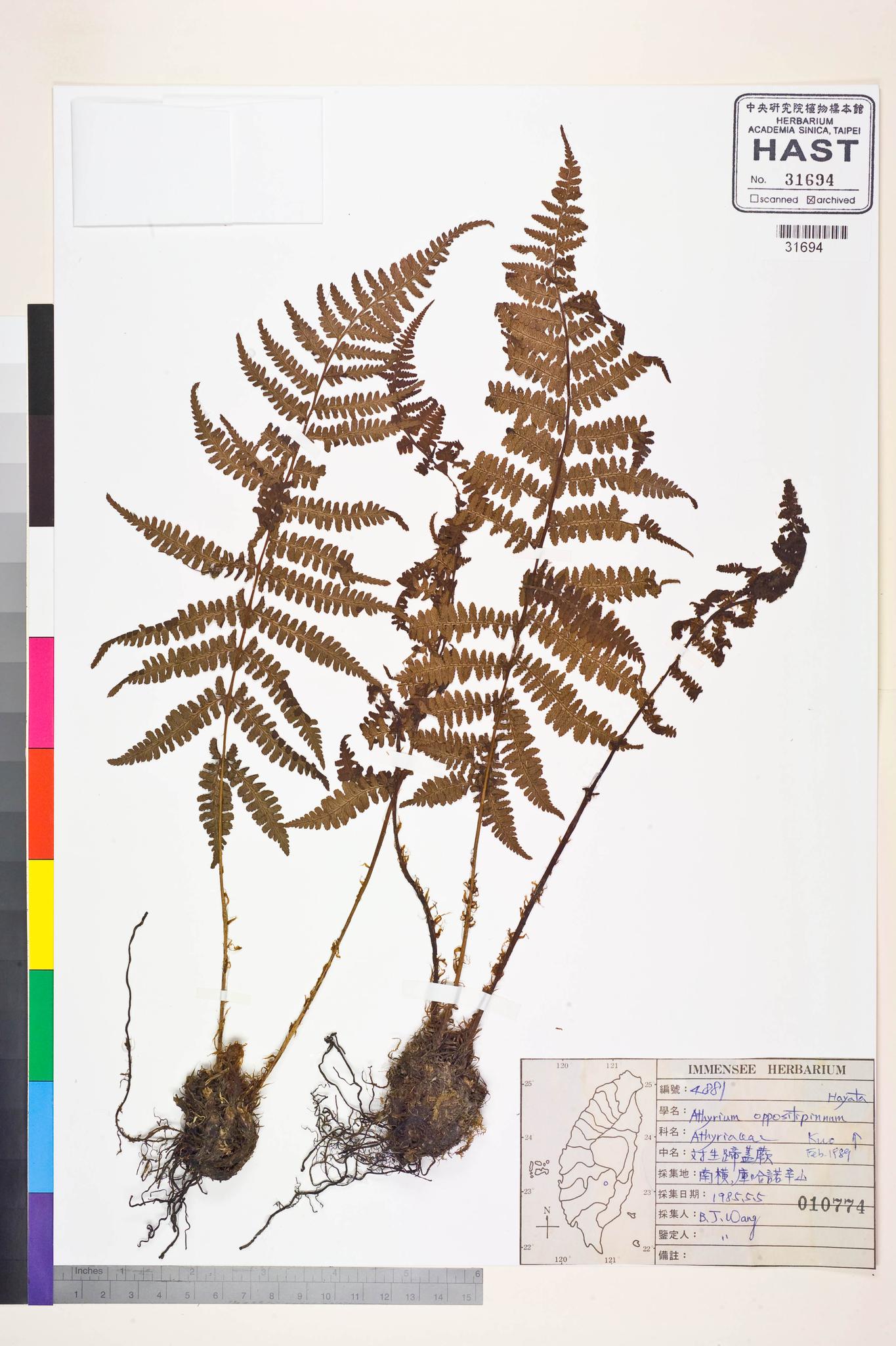 Sample image for viewer