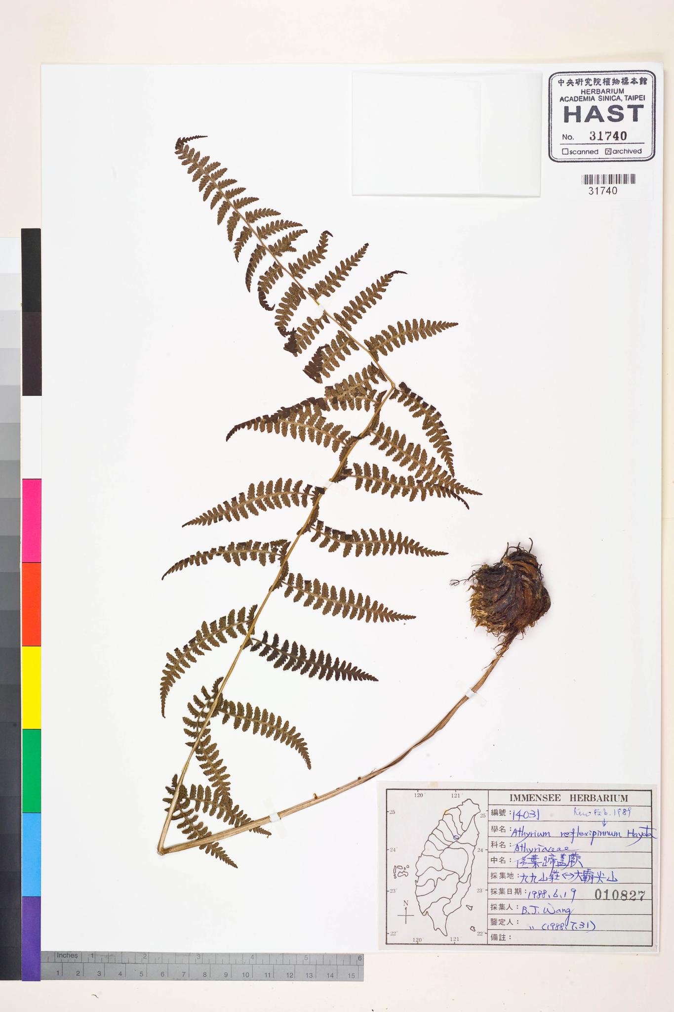 Sample image for viewer