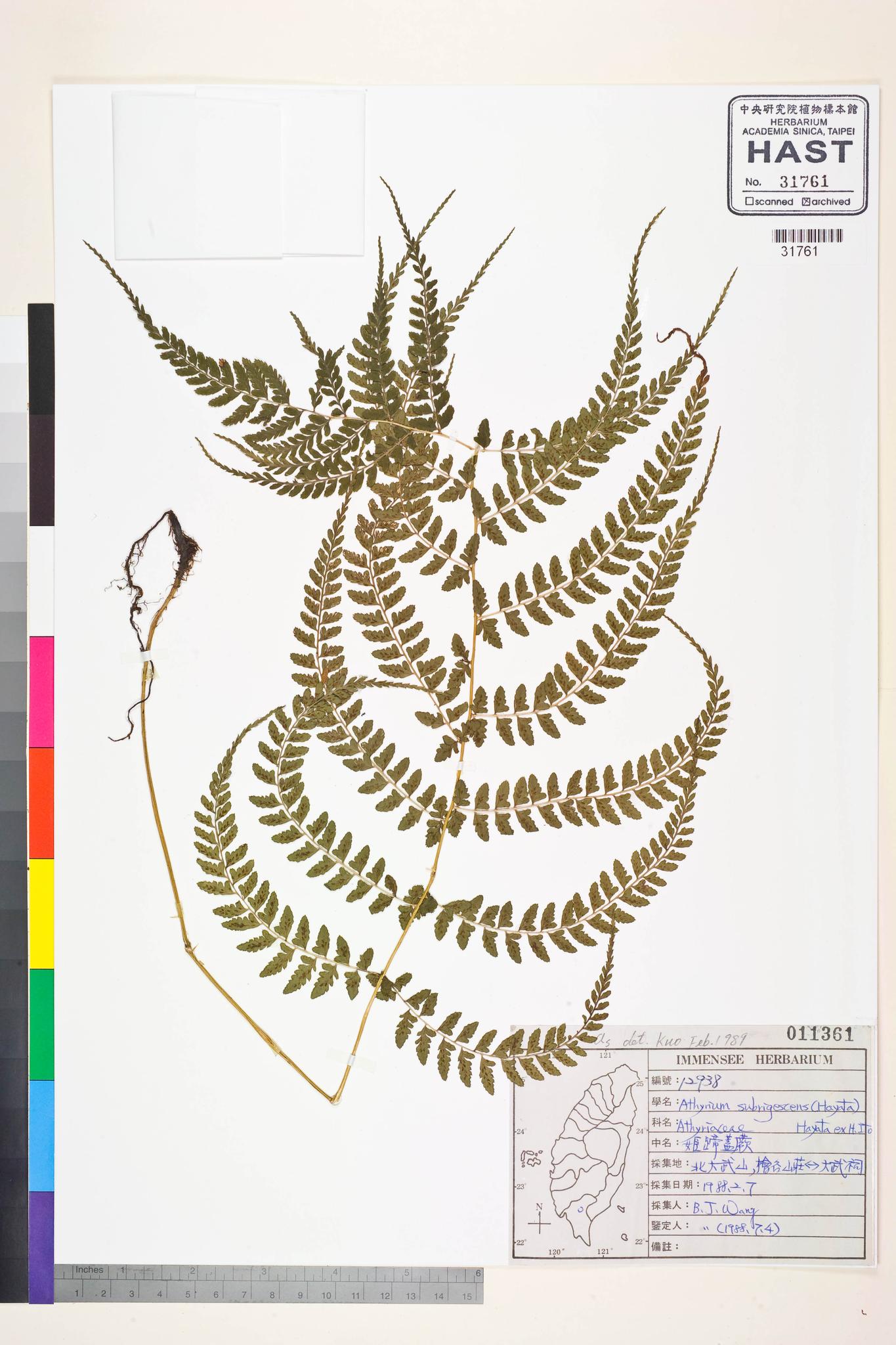 Sample image for viewer