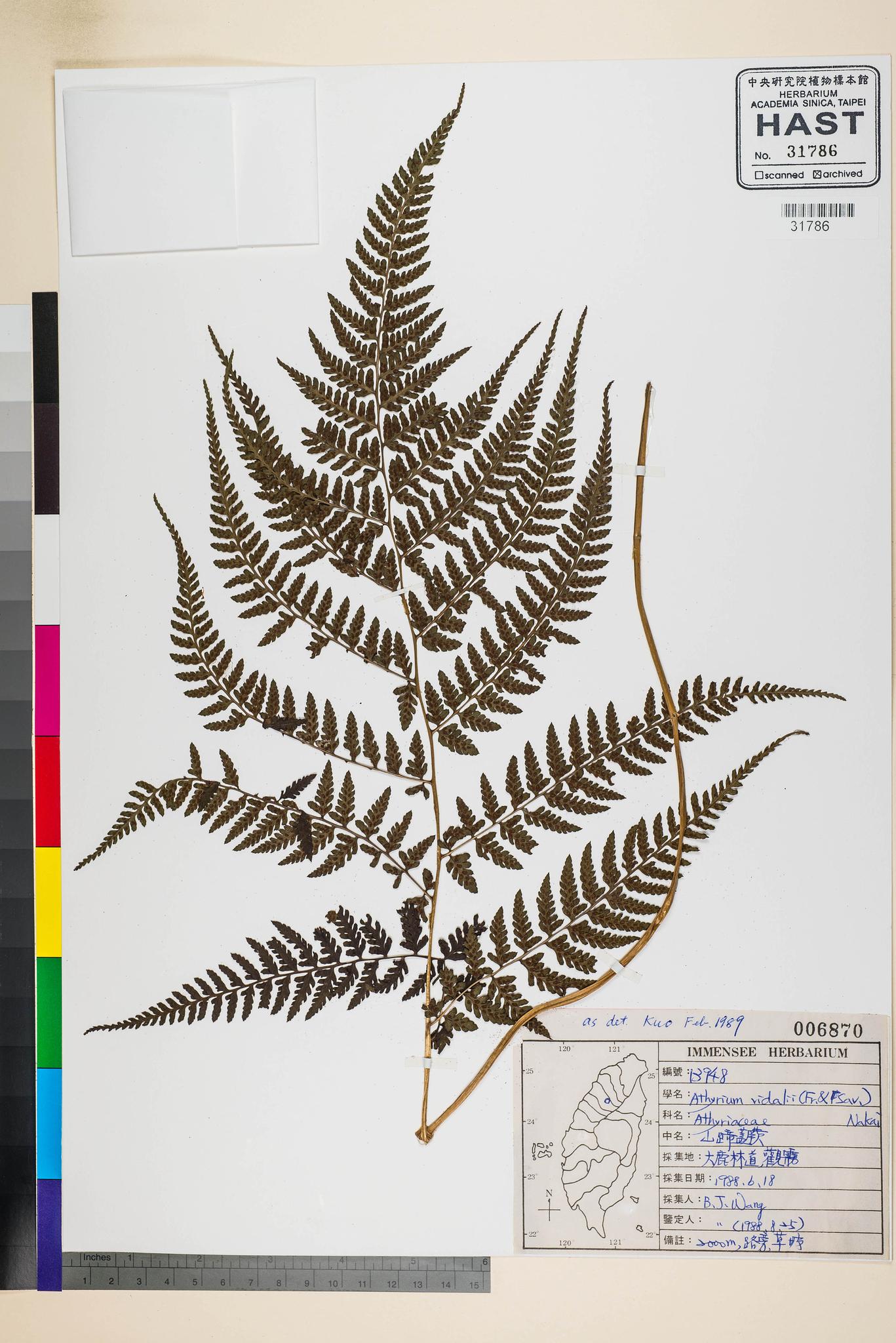 Sample image for viewer