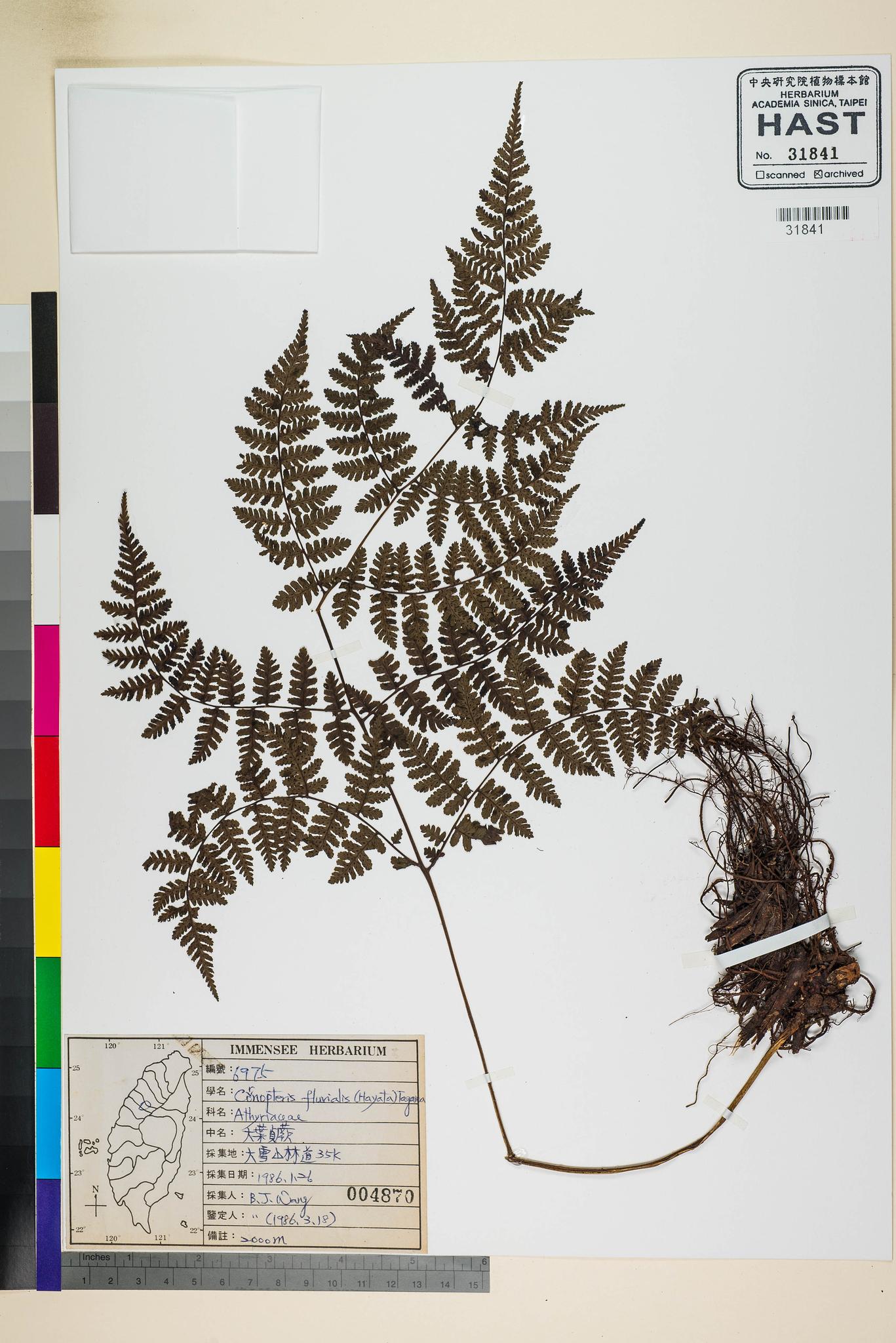 Sample image for viewer