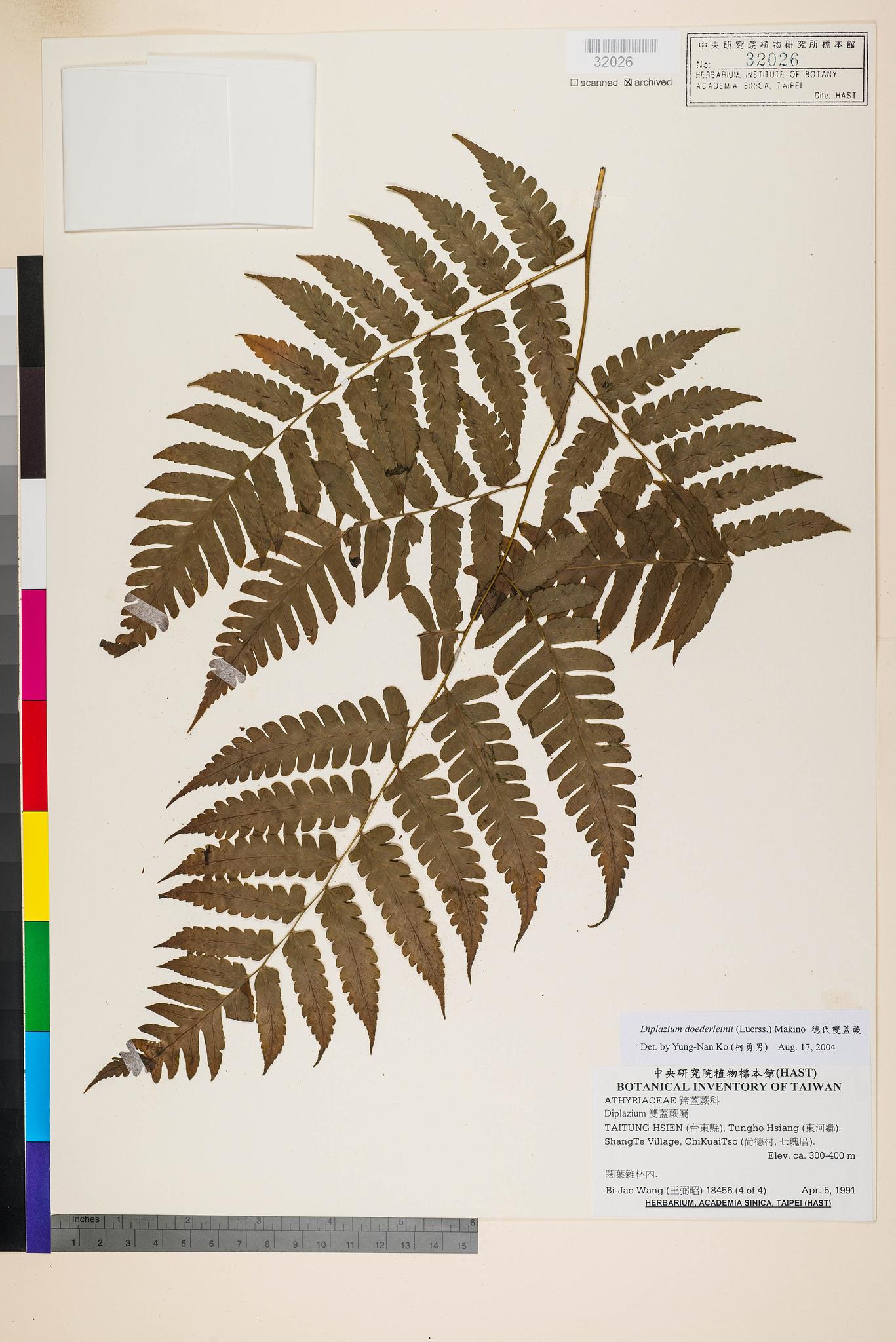 Sample image for viewer