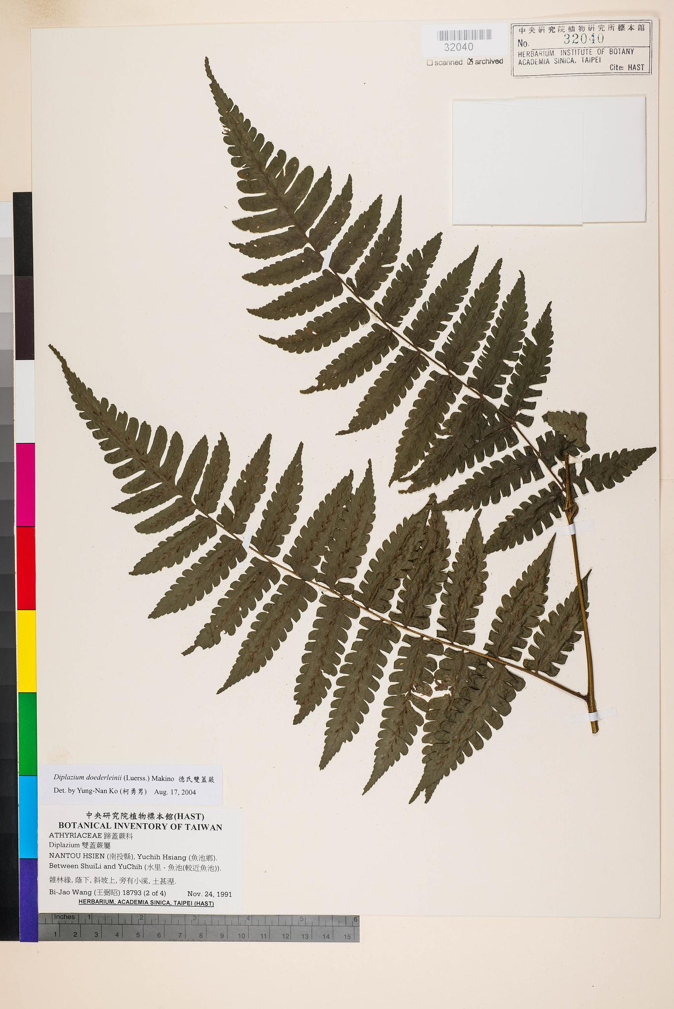 Sample image for viewer