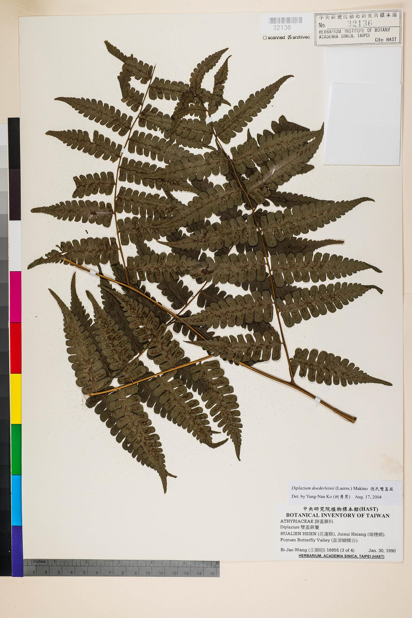 Sample image for viewer