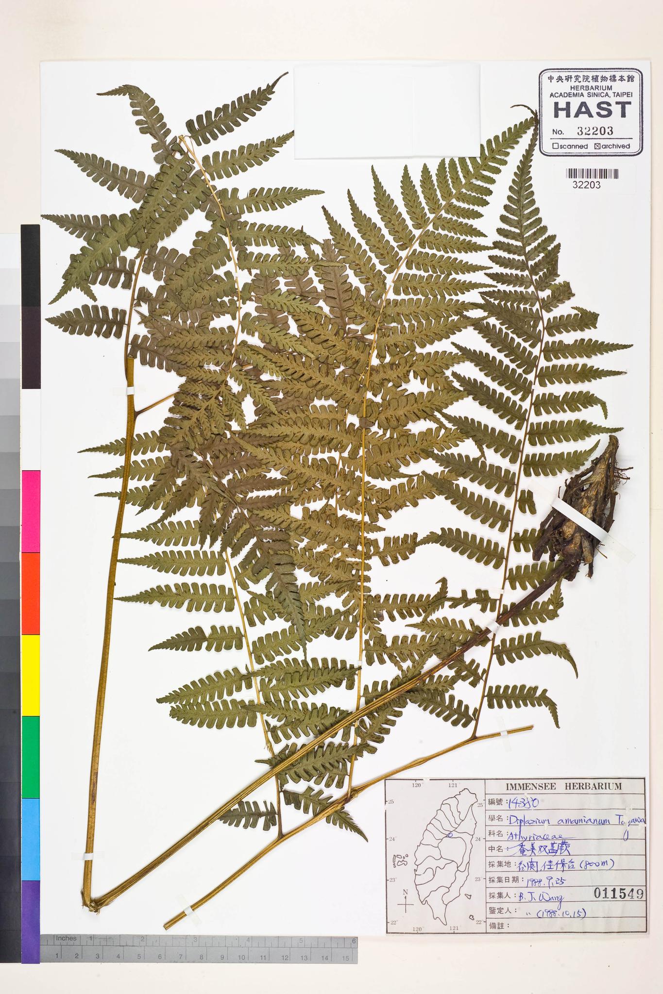 Sample image for viewer