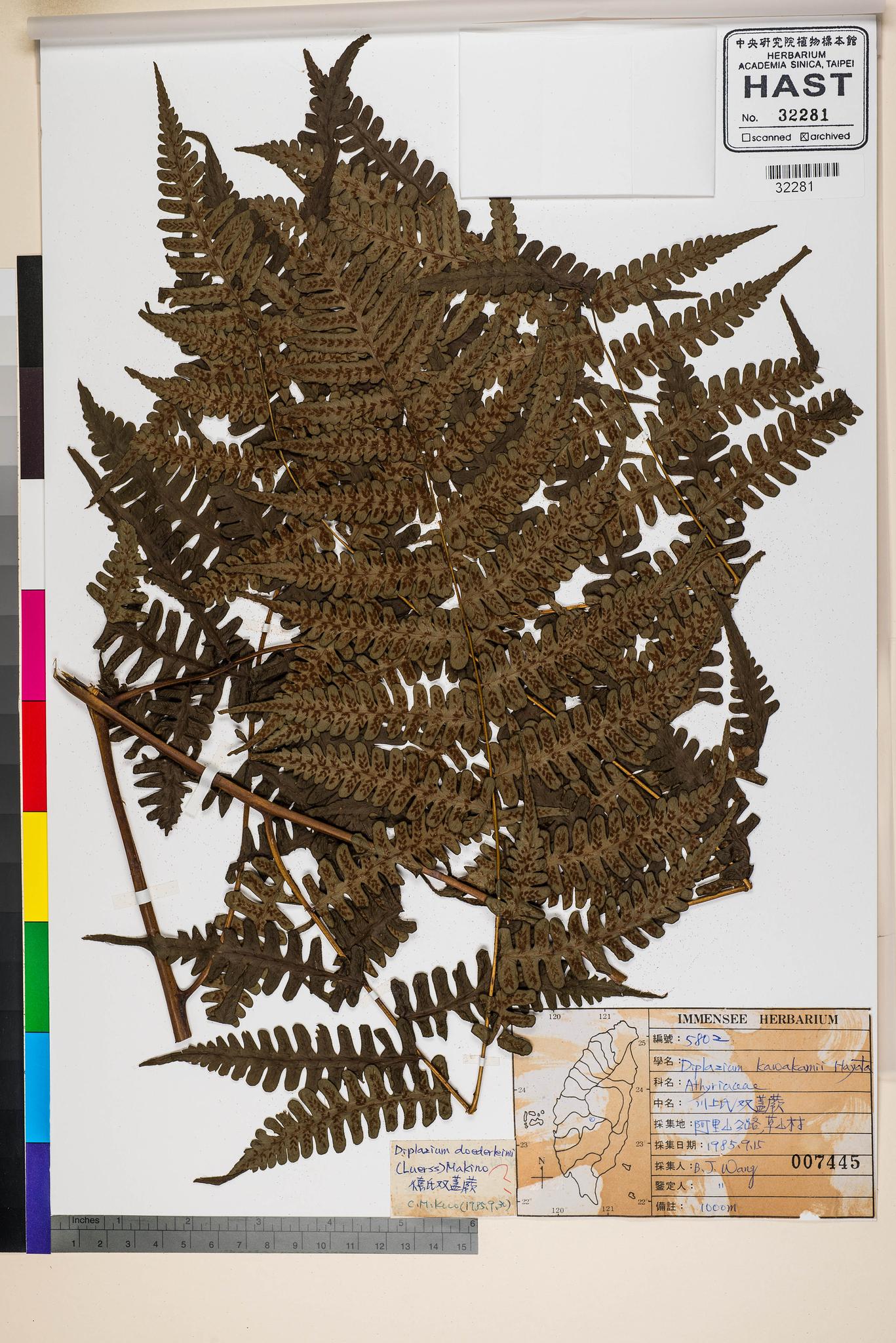 Sample image for viewer