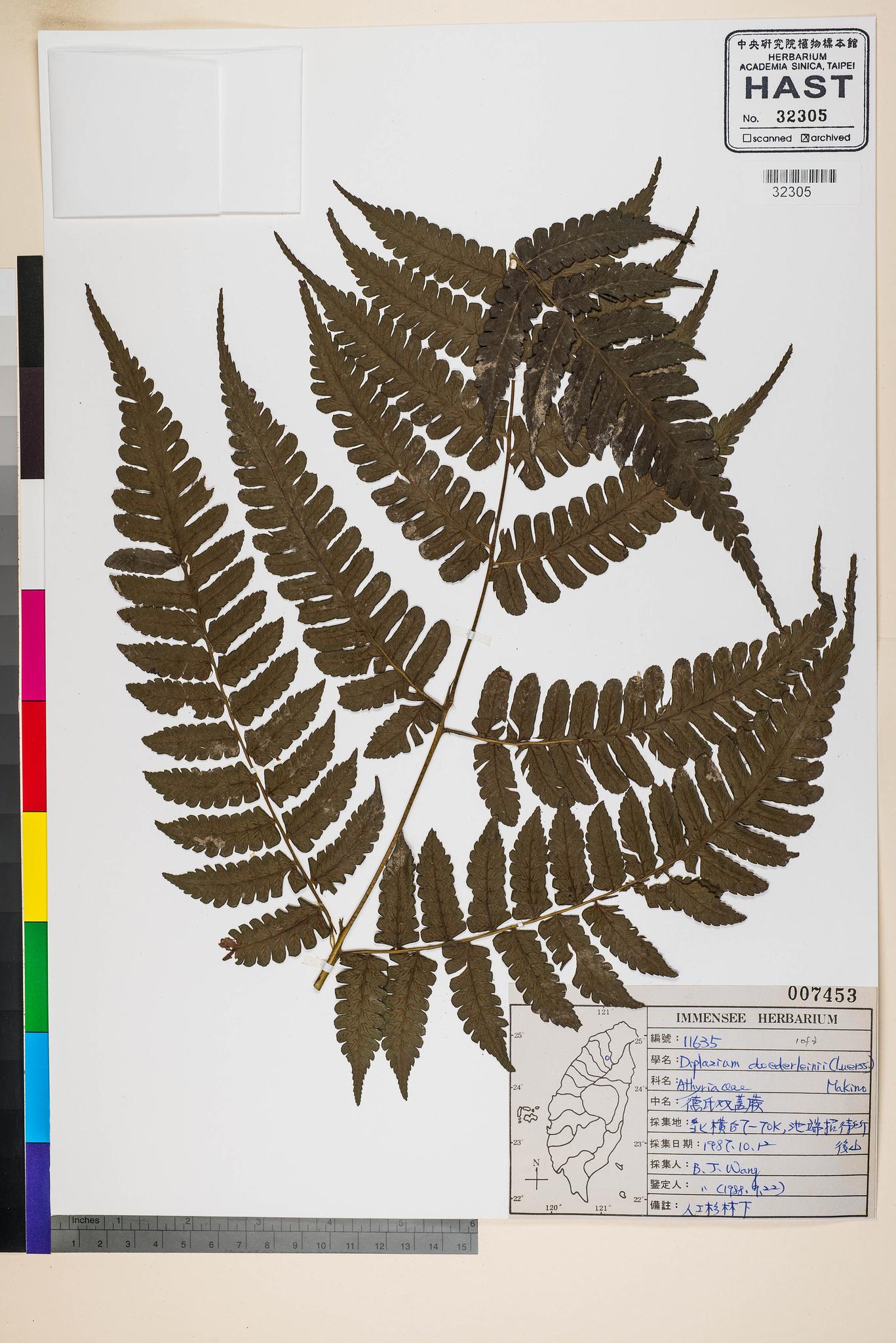 Sample image for viewer