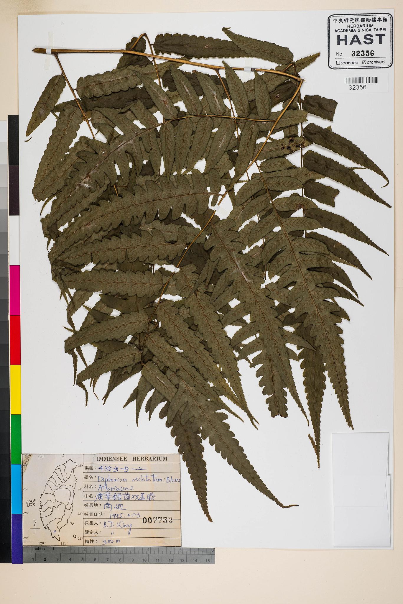 Sample image for viewer