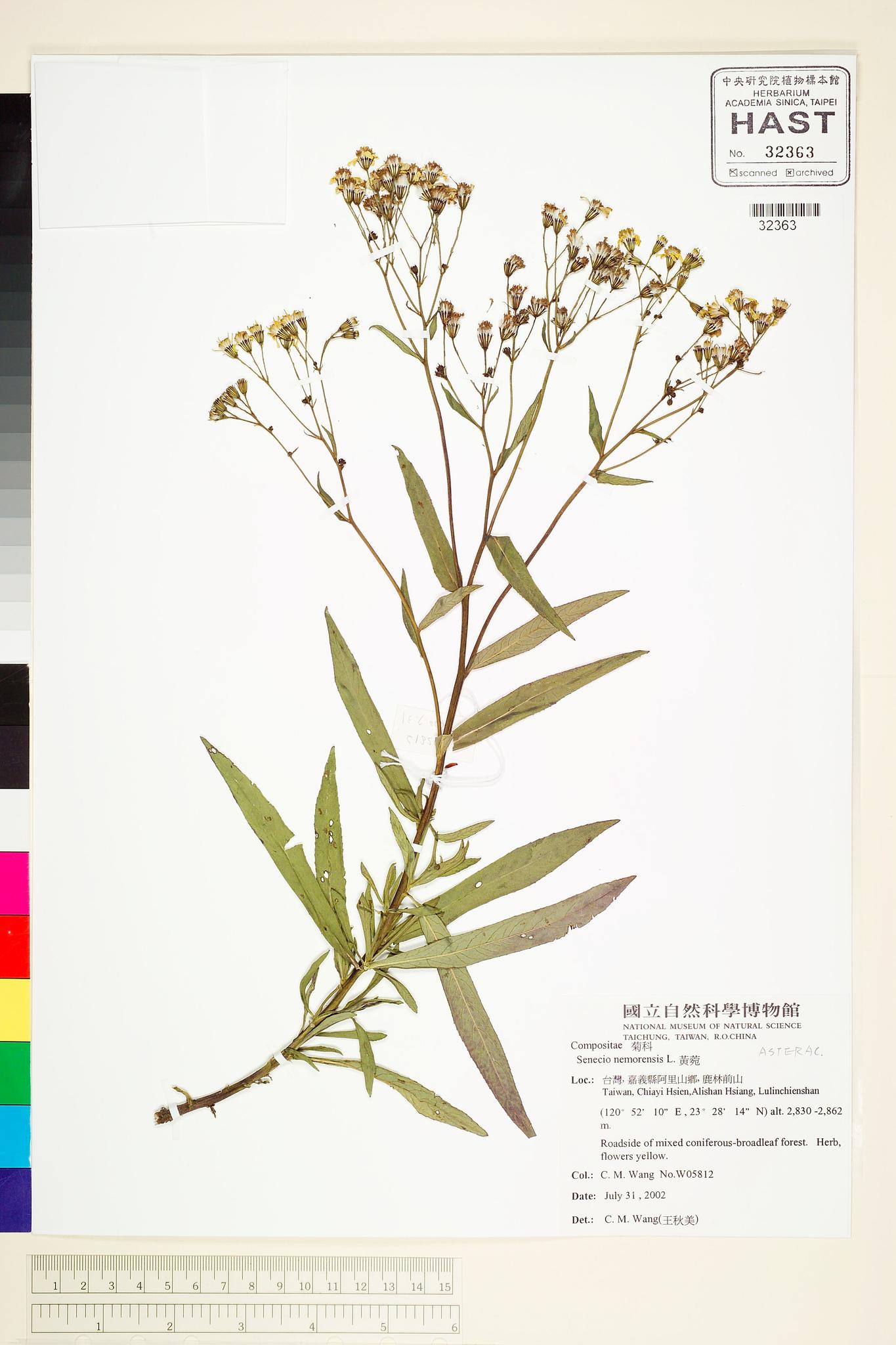 Sample image for viewer