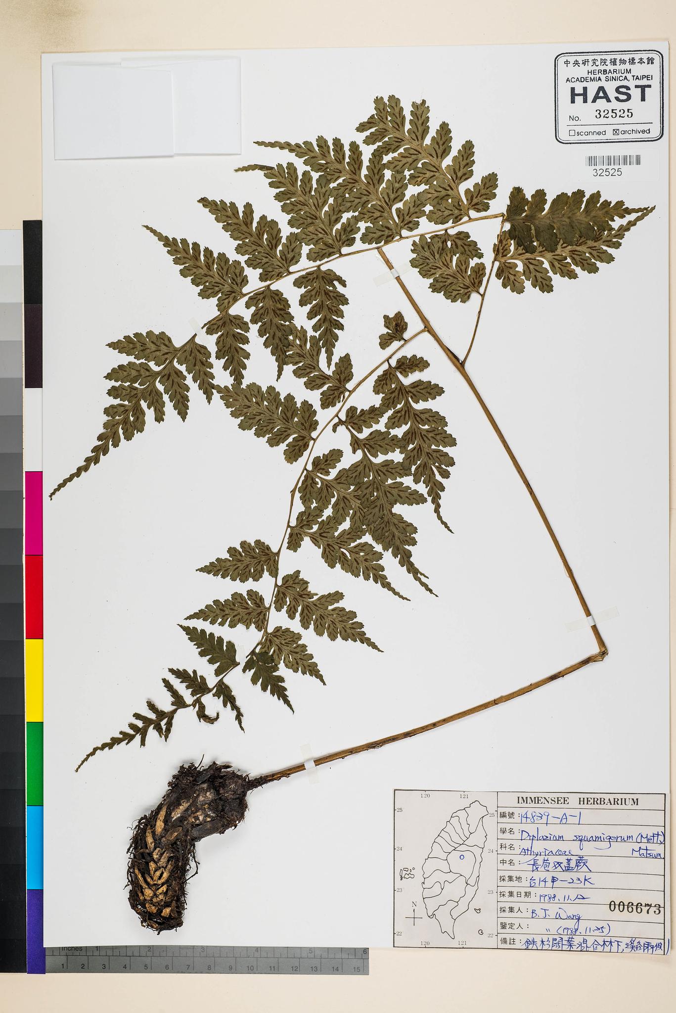 Sample image for viewer