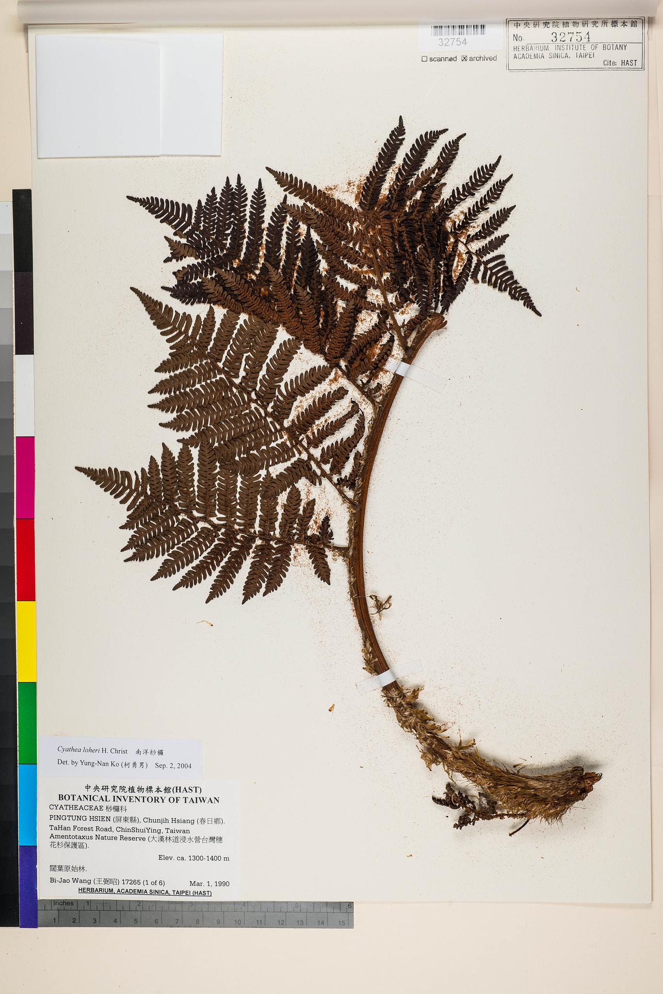 Sample image for viewer