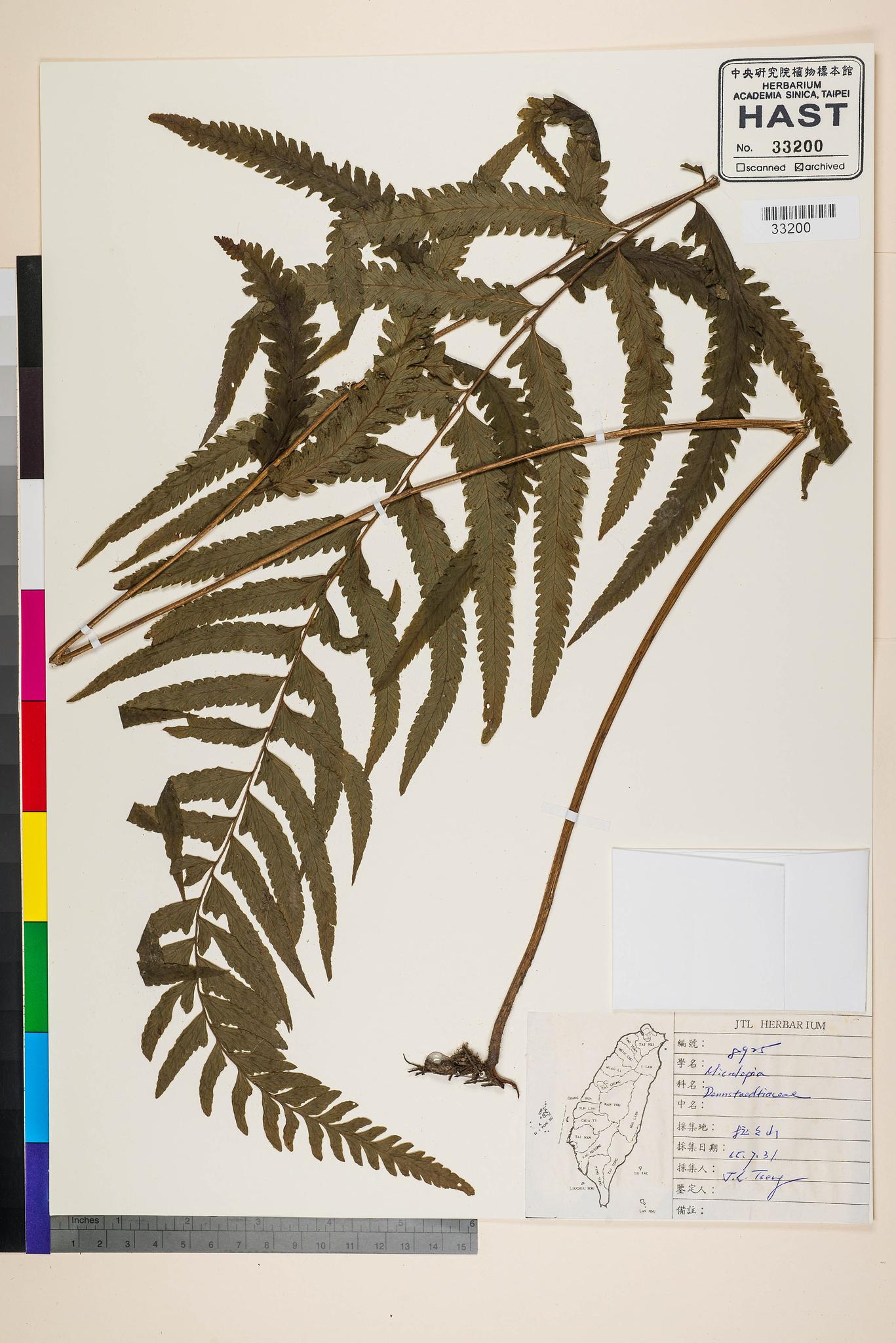 Sample image for viewer