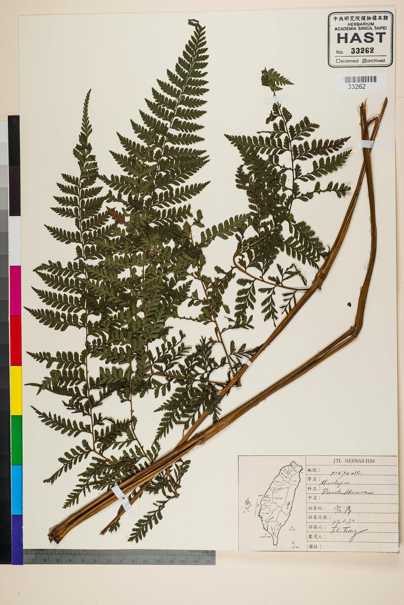 Sample image for viewer