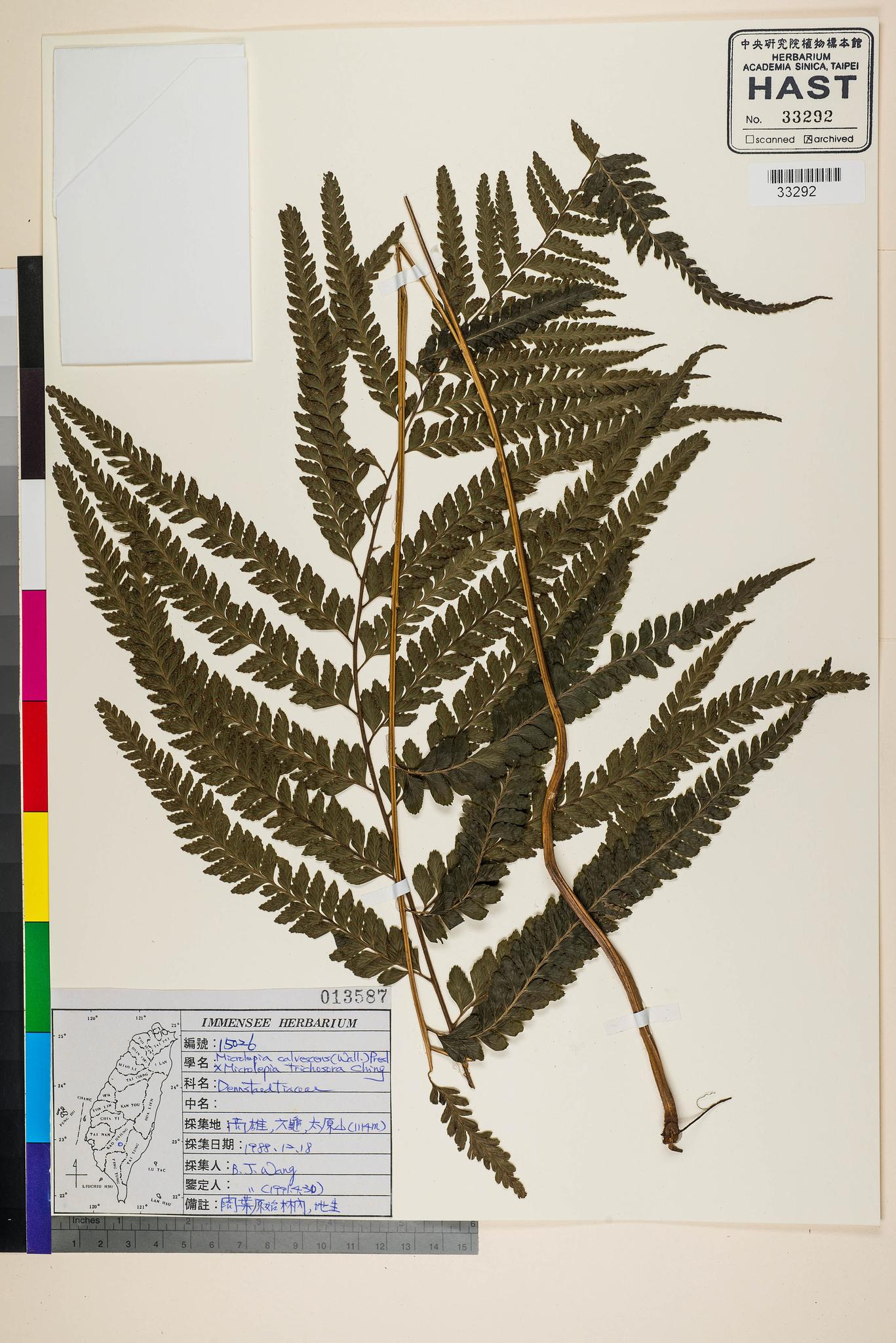 Sample image for viewer