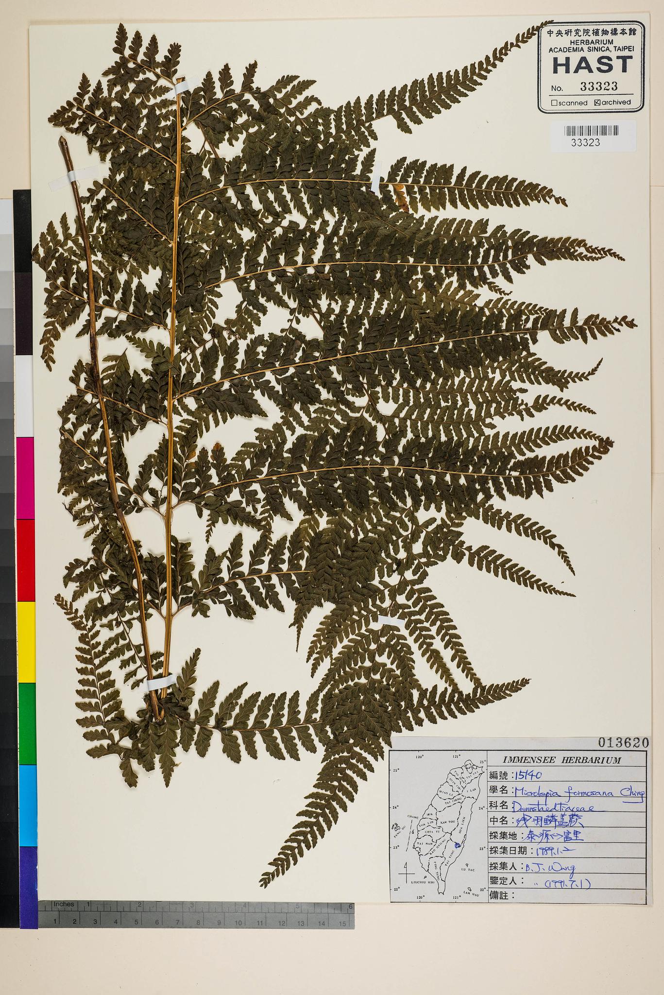 Sample image for viewer