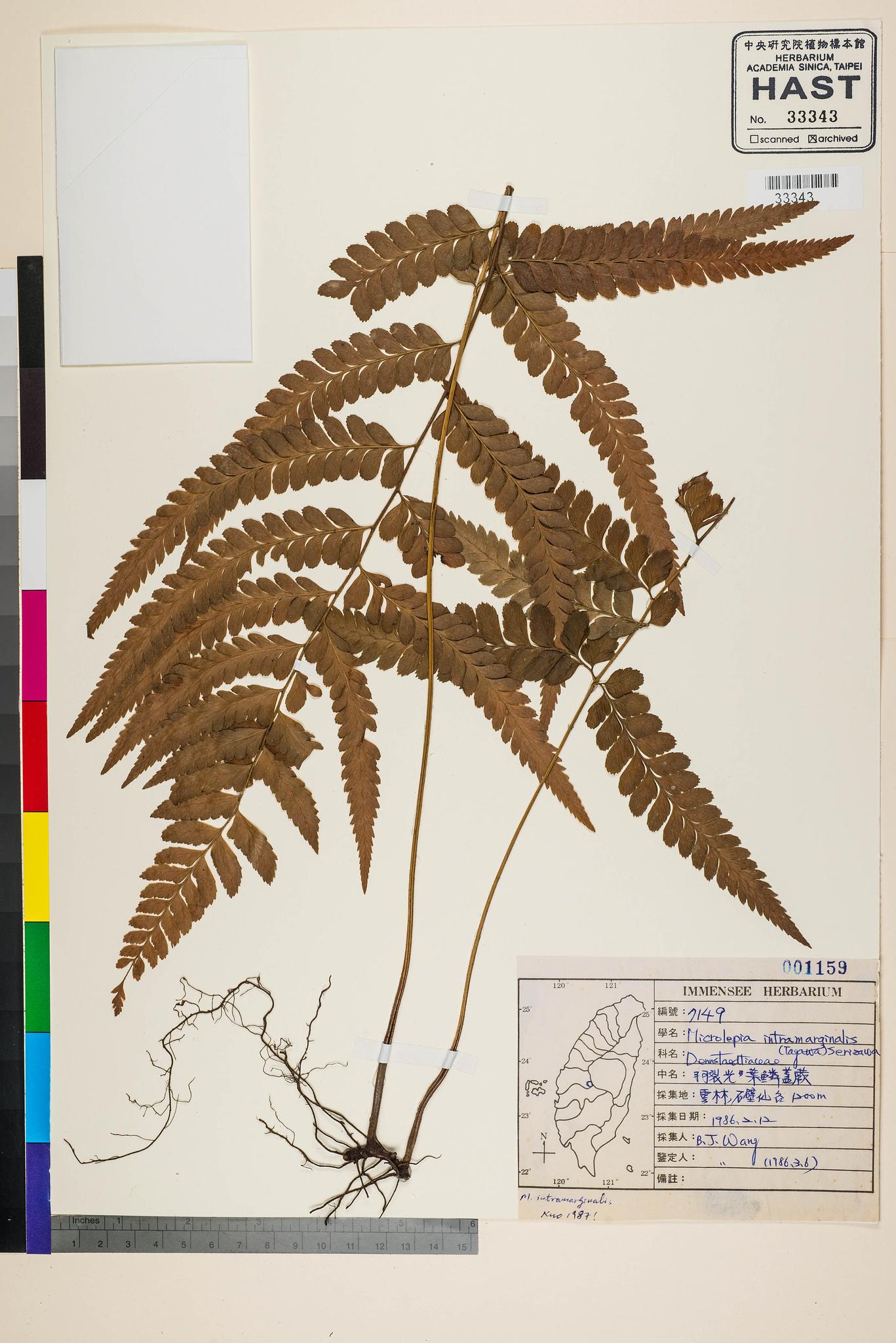 Sample image for viewer