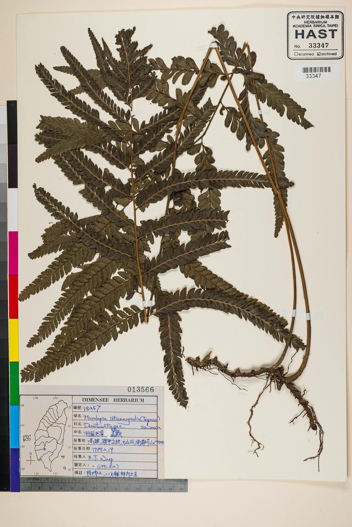 Sample image for viewer