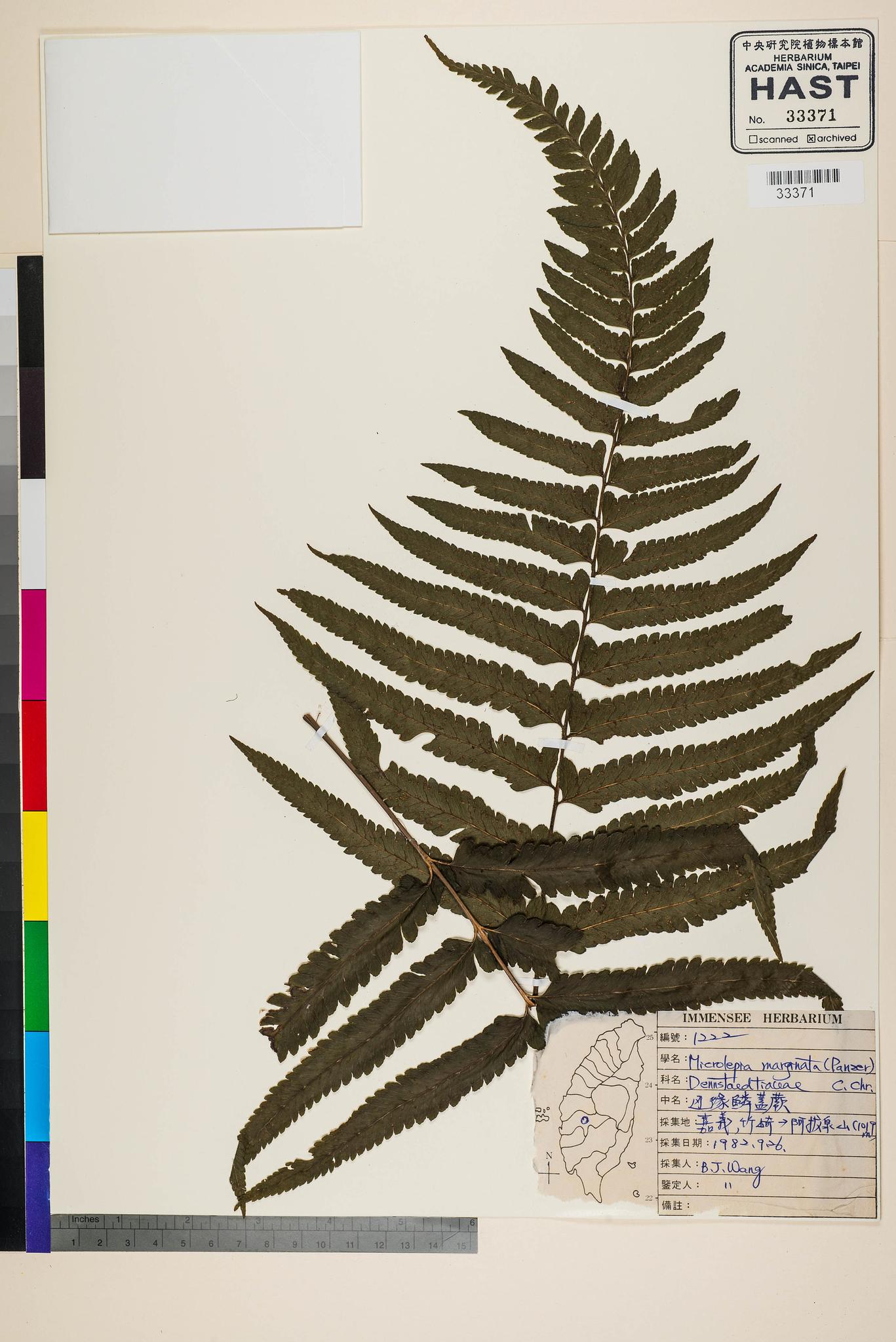 Sample image for viewer