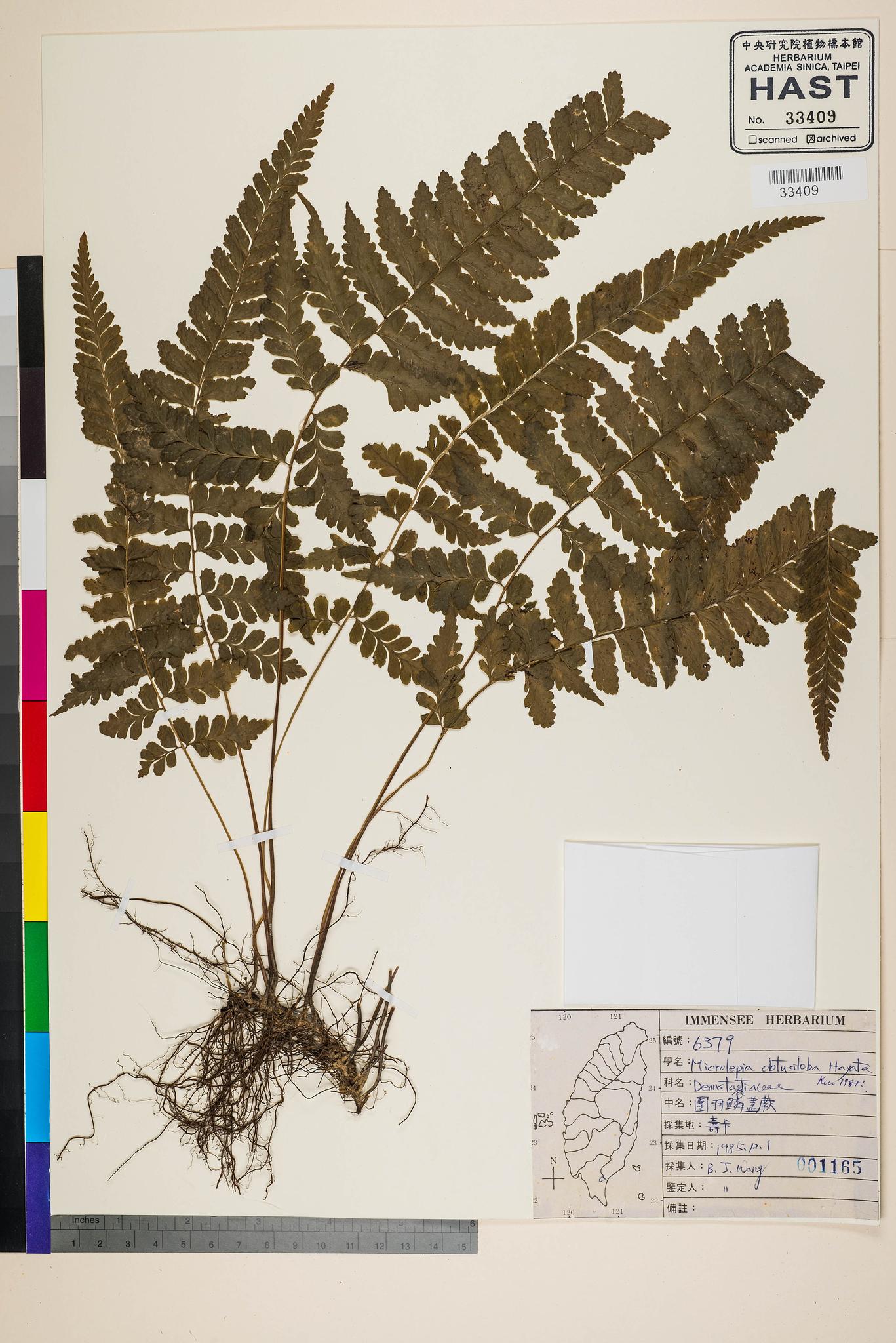 Sample image for viewer