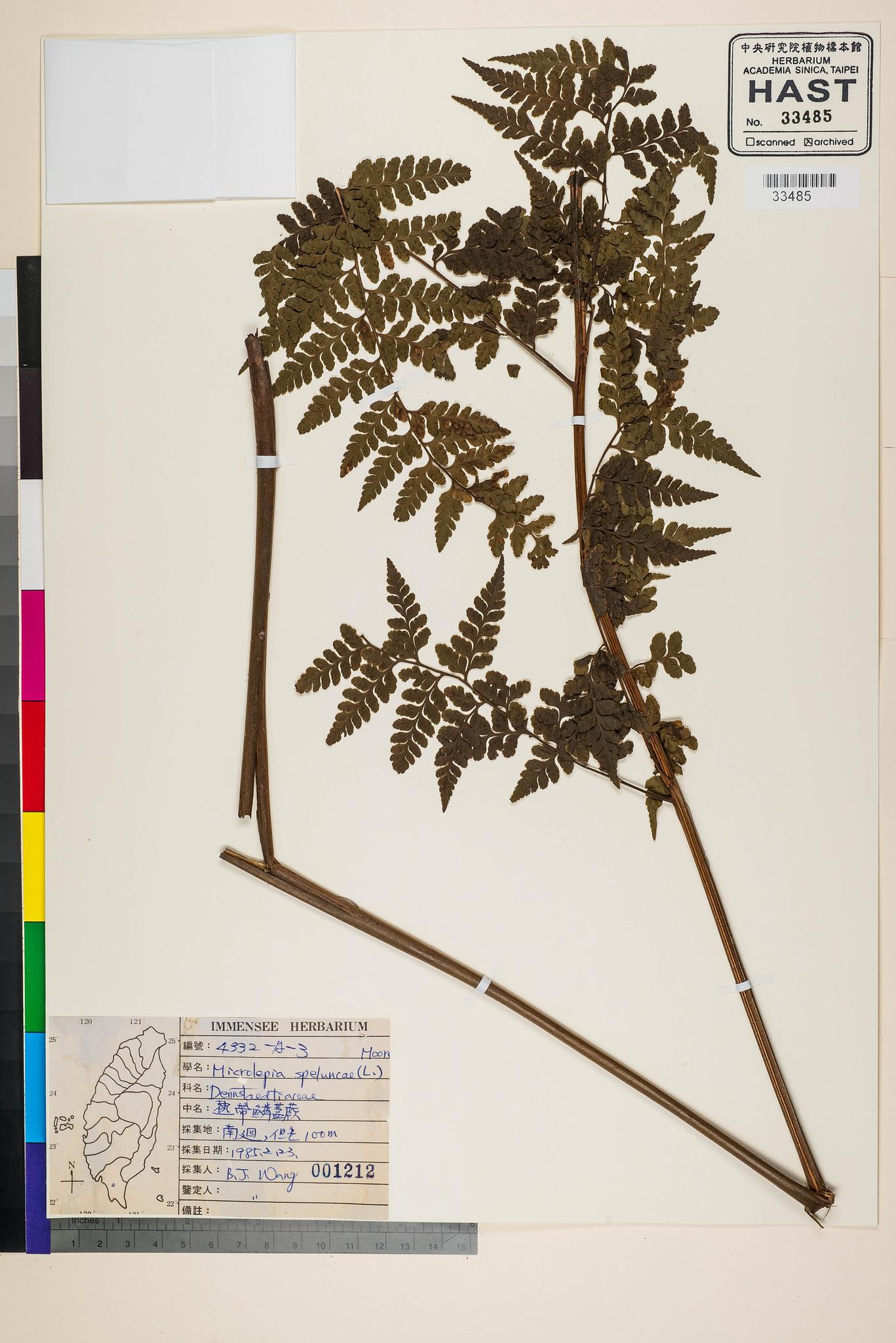 Sample image for viewer