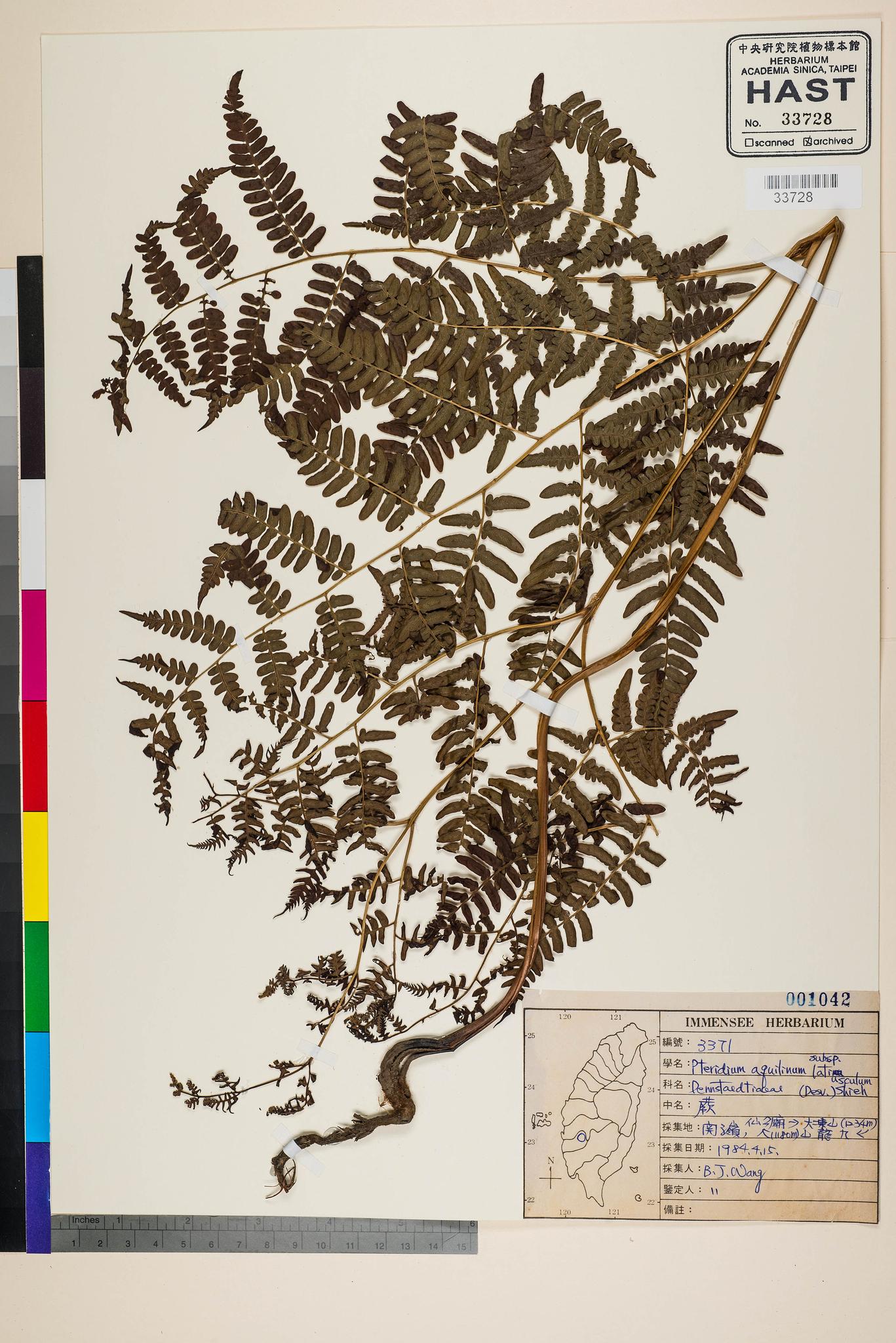 Sample image for viewer