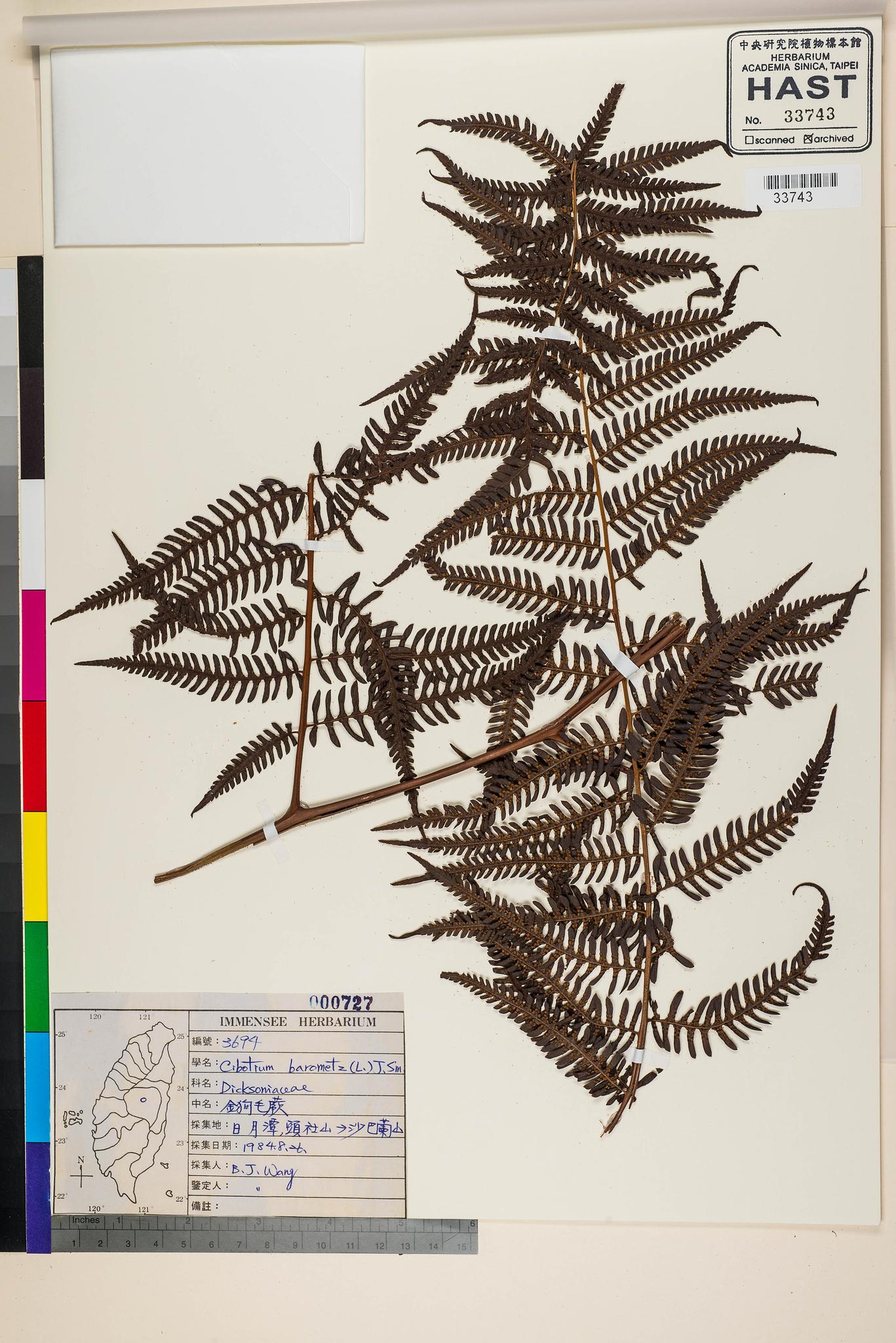 Sample image for viewer