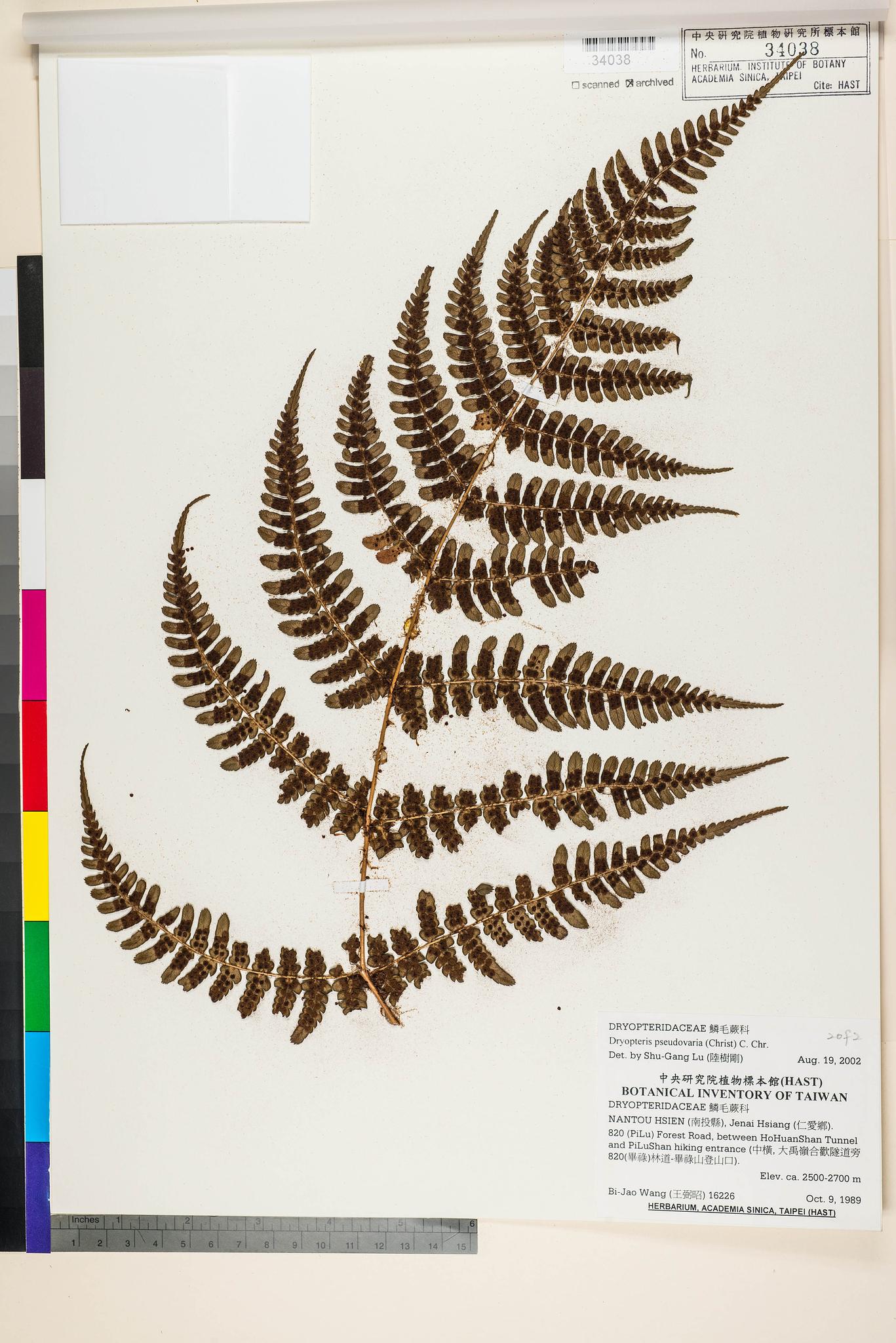 Specimen image