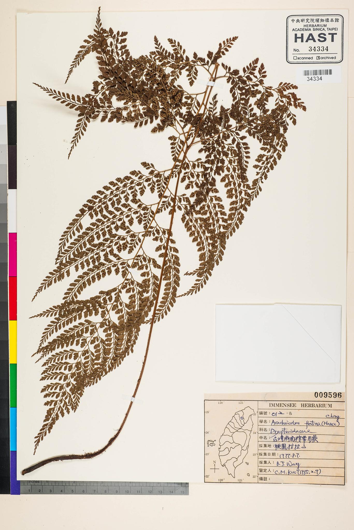 Sample image for viewer