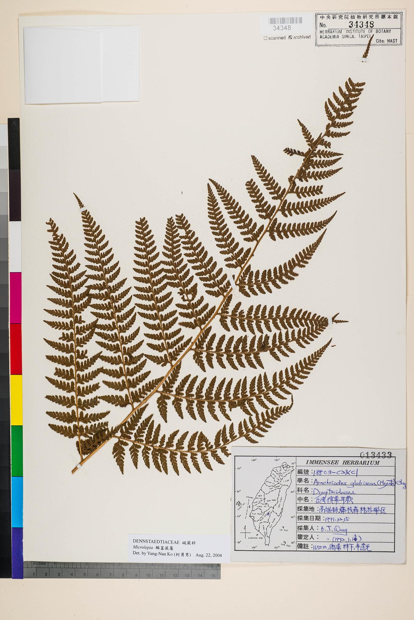 Sample image for viewer