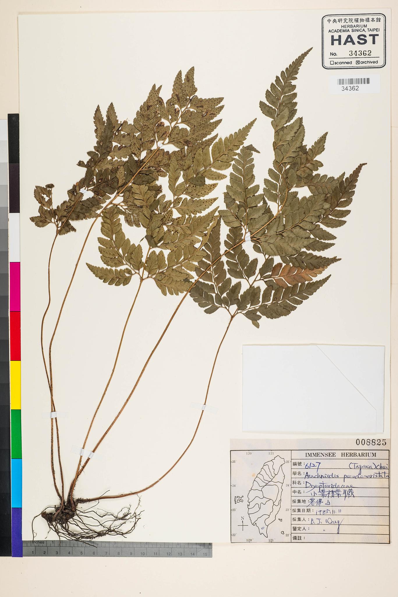 Sample image for viewer