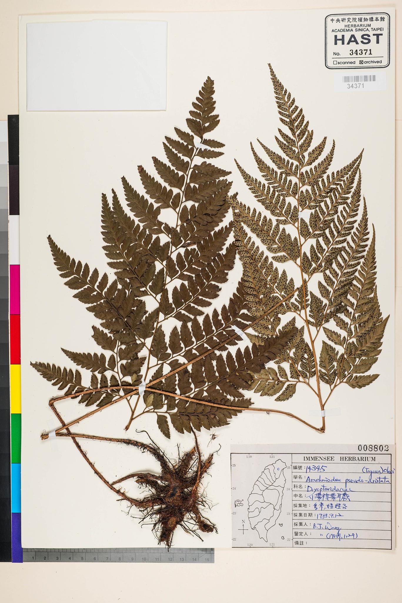 Sample image for viewer