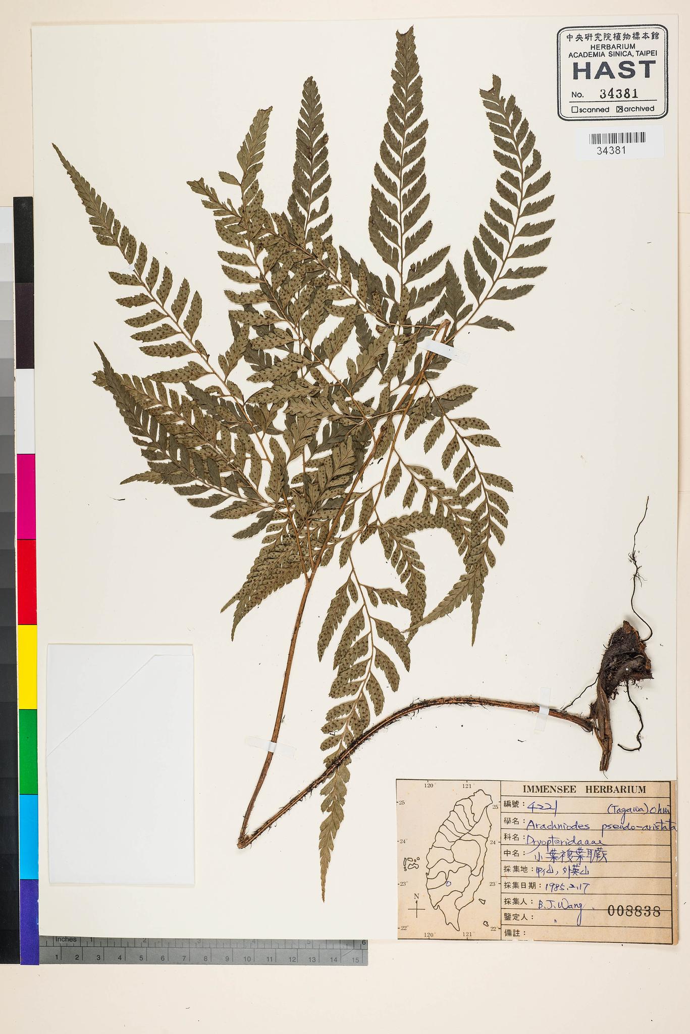 Sample image for viewer