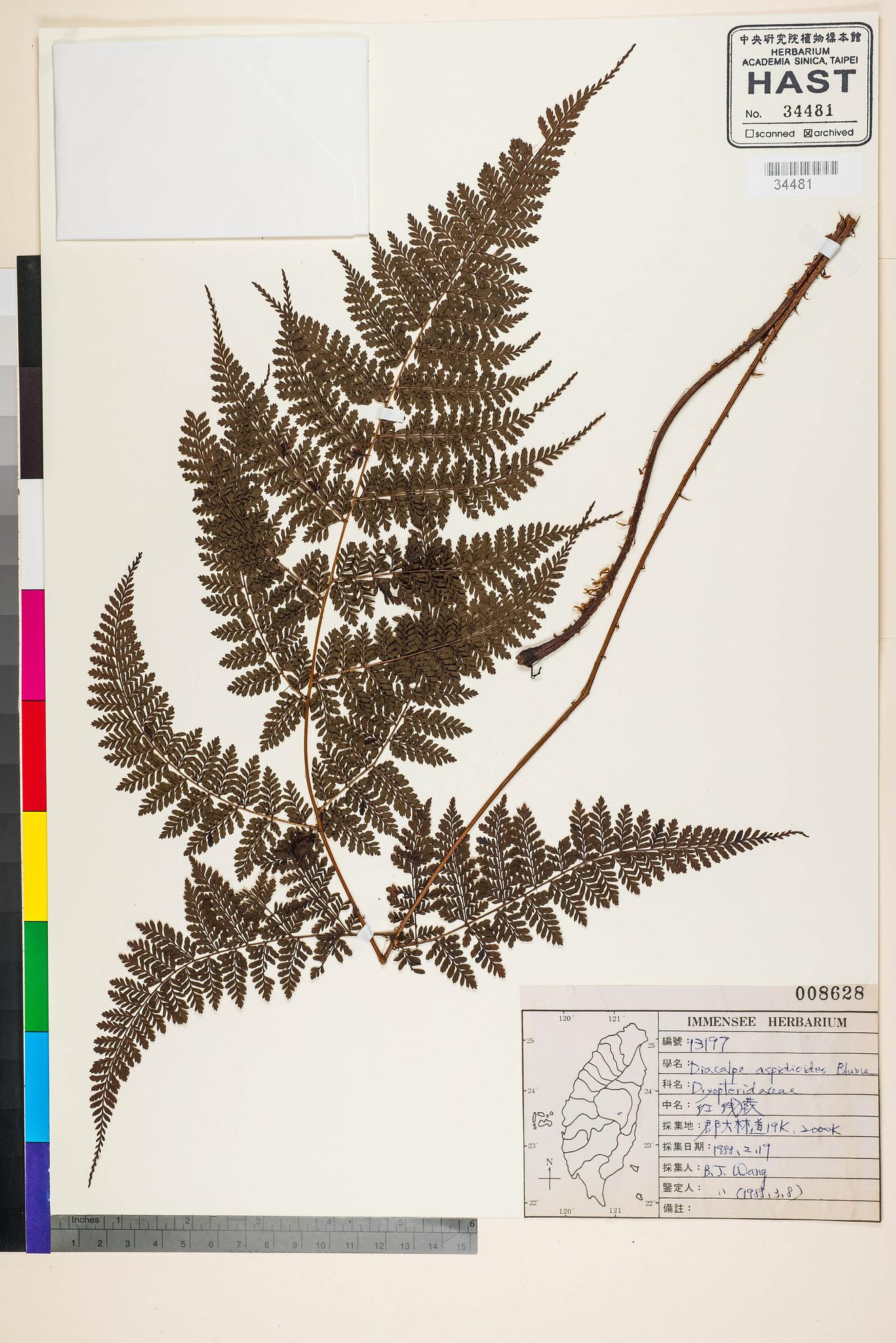 Sample image for viewer