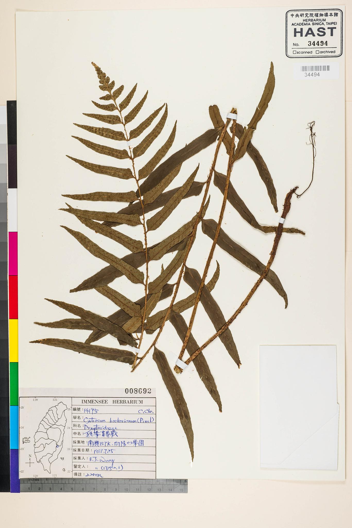 Sample image for viewer